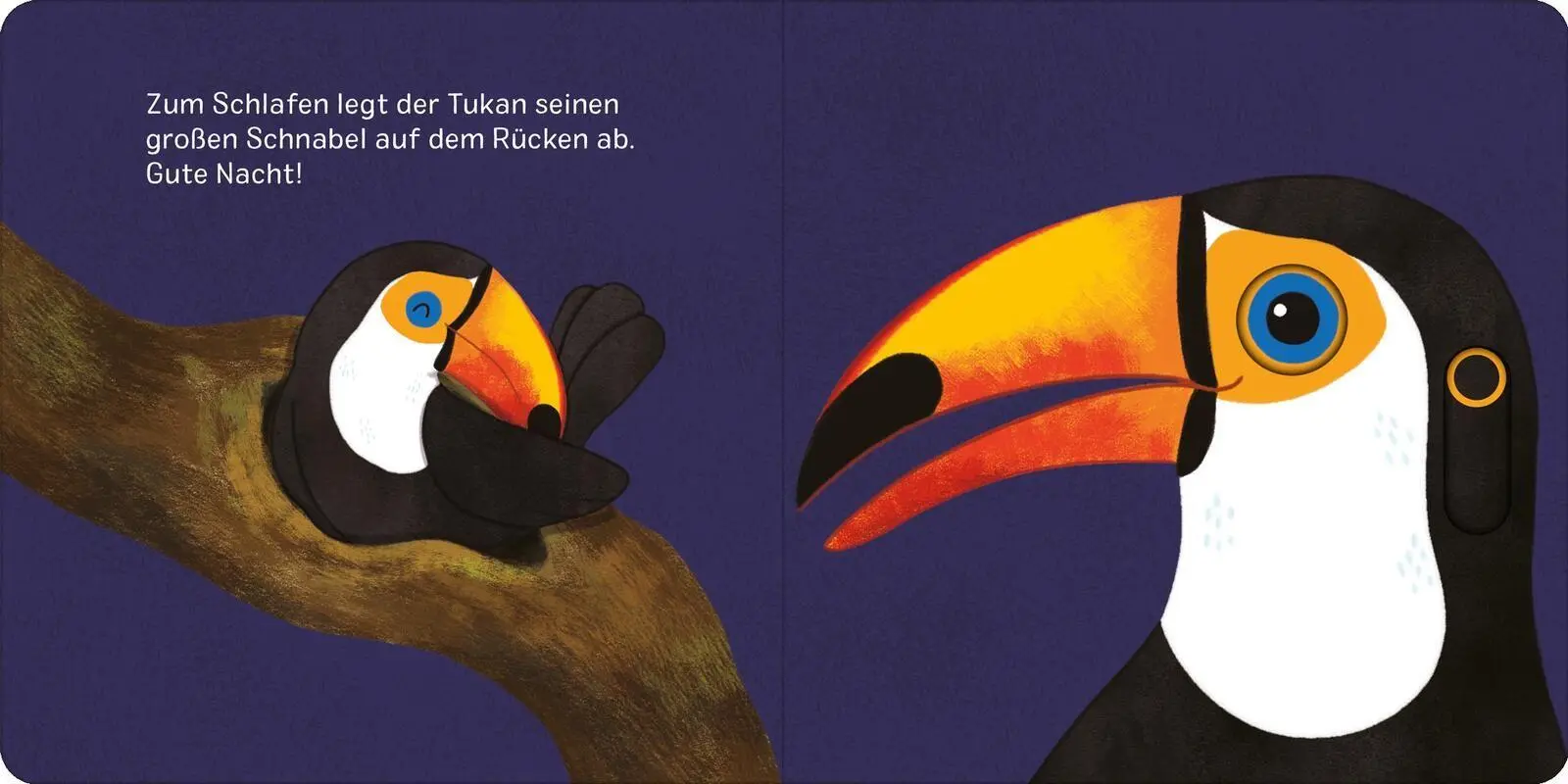 Bild: 9783845870533 | Augen zu und träum schön! | Juliana Motzko | Buch | 14 S. | Deutsch