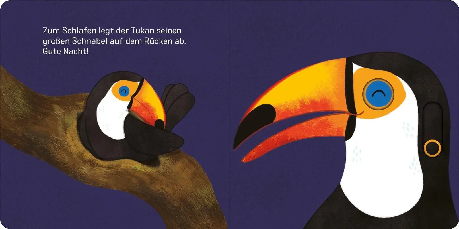 Bild: 9783845870533 | Augen zu und träum schön! | Juliana Motzko | Buch | 14 S. | Deutsch