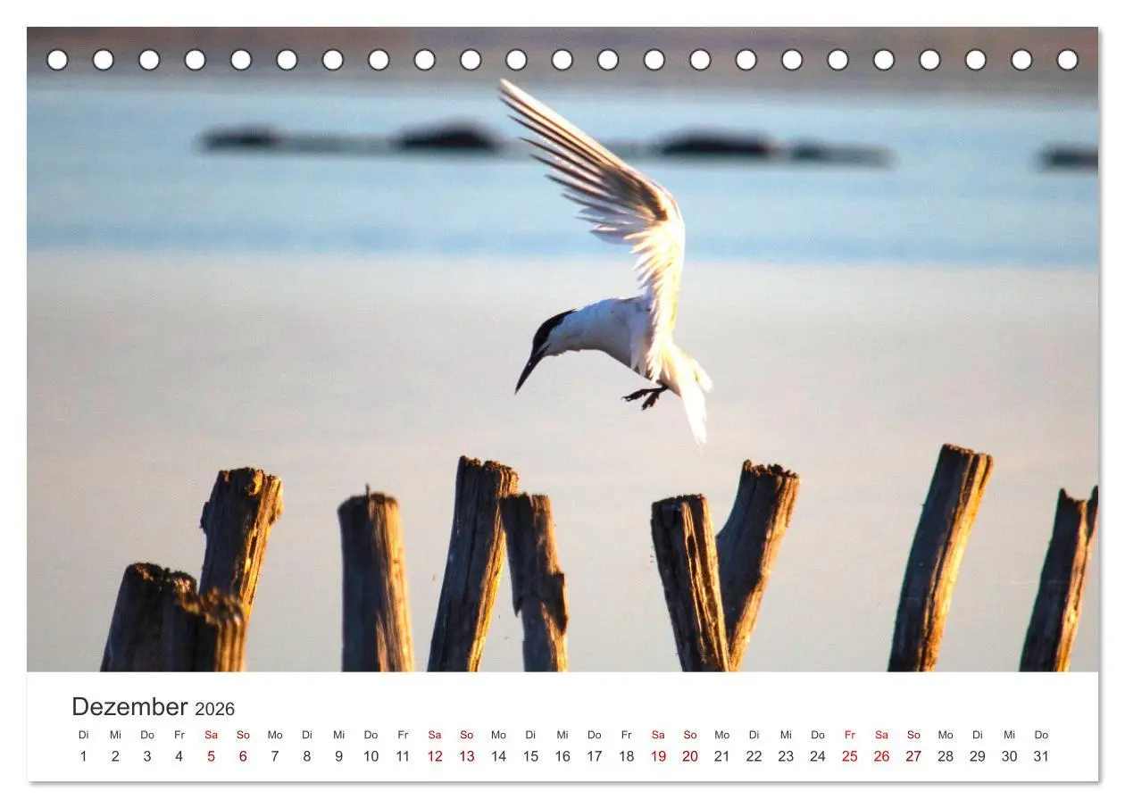 Bild: 9783457610633 | Bulgarien - Eine Reise zum Schwarzen Meer. (Tischkalender 2026 DIN...