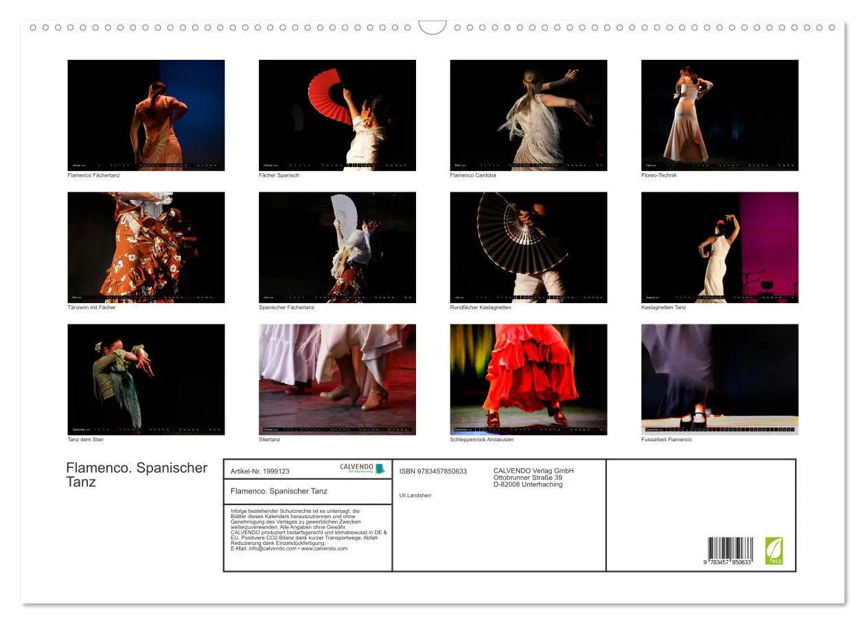 Bild: 9783457850633 | Flamenco. Spanischer Tanz (Wandkalender 2026 DIN A2 quer), CALVENDO...