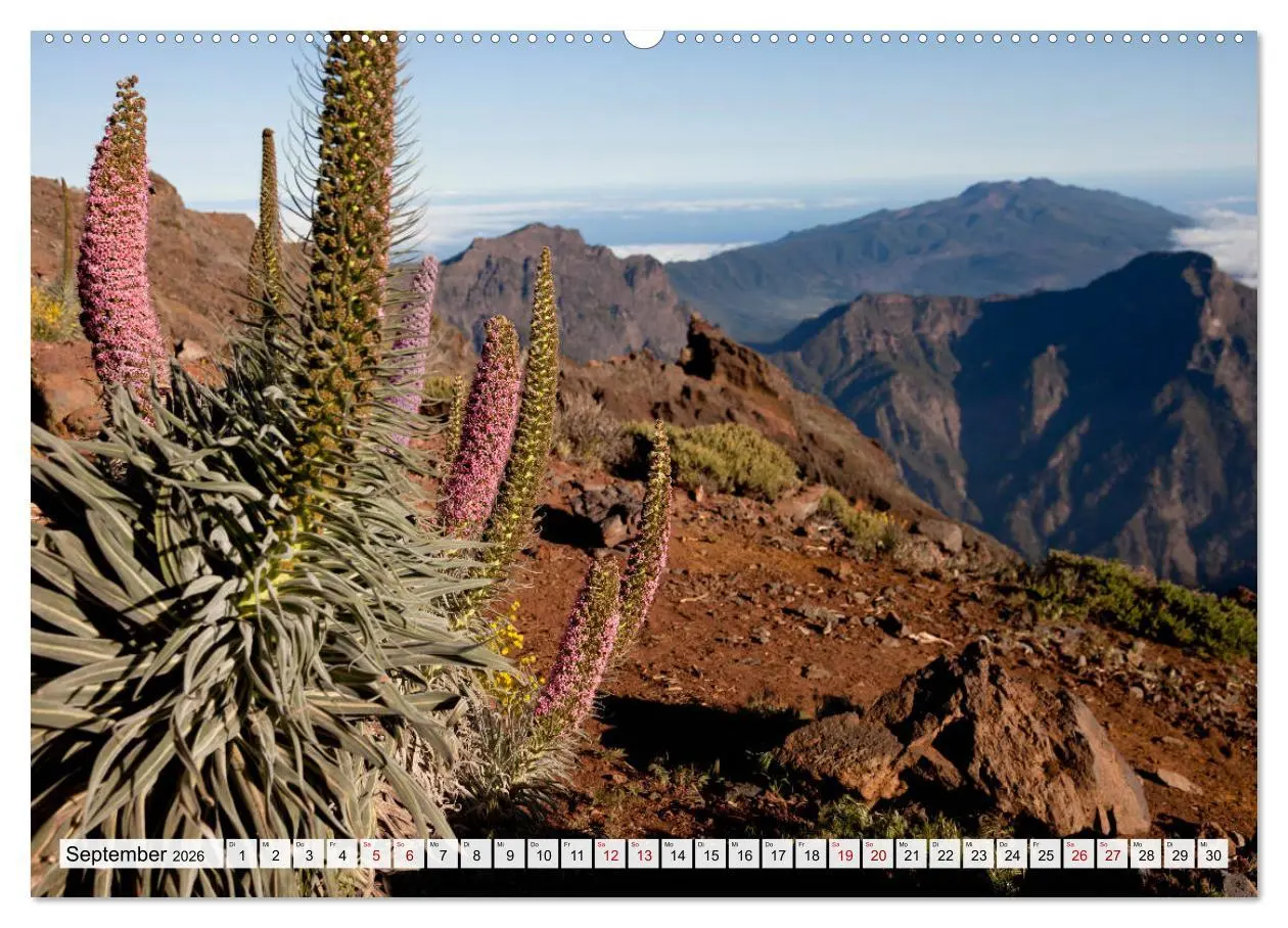 Bild: 9783457920633 | Landschaften der Kanarischen Inseln. (Wandkalender 2026 DIN A2...