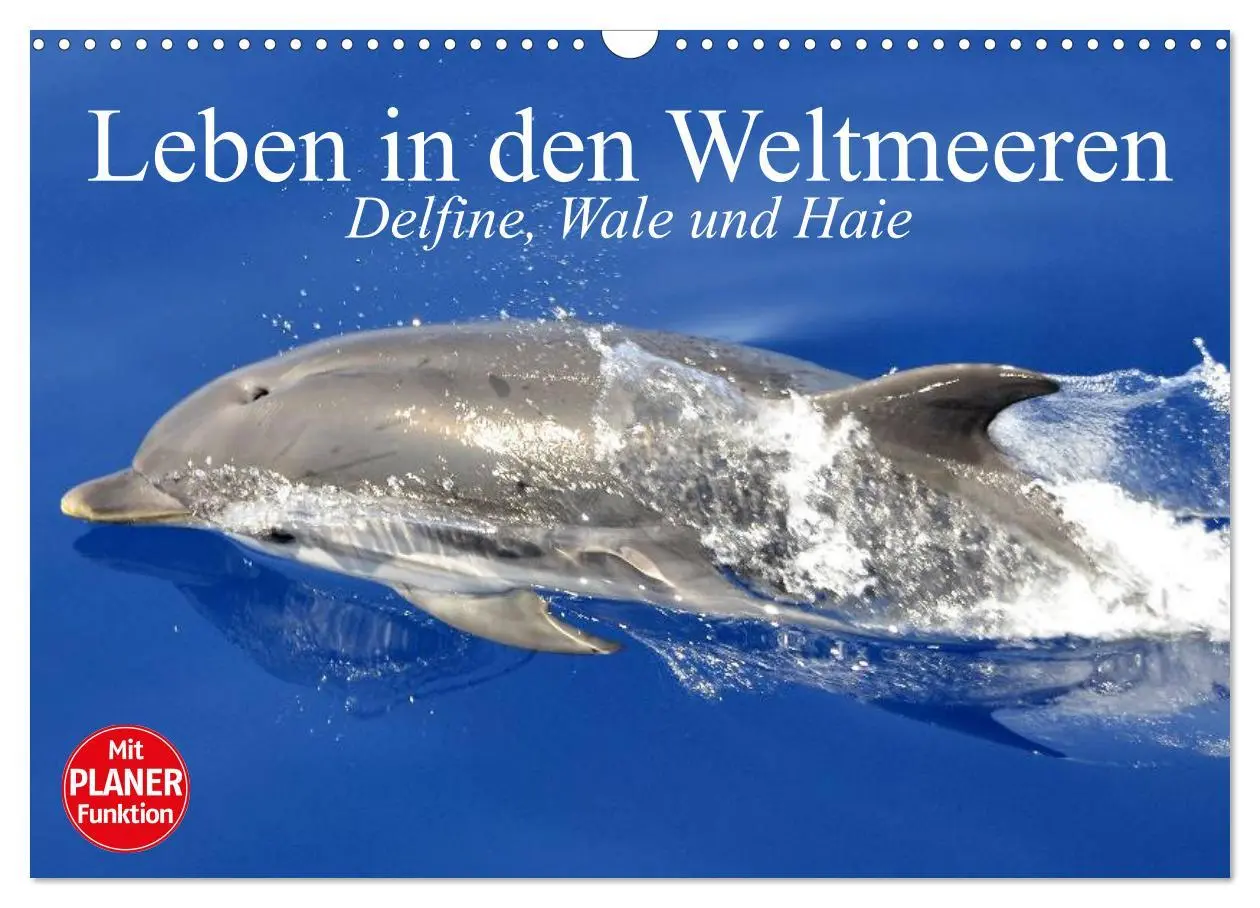 Cover: 9783516010633 | Leben in den Weltmeeren. Delfine, Wale und Haie (Wandkalender 2026...