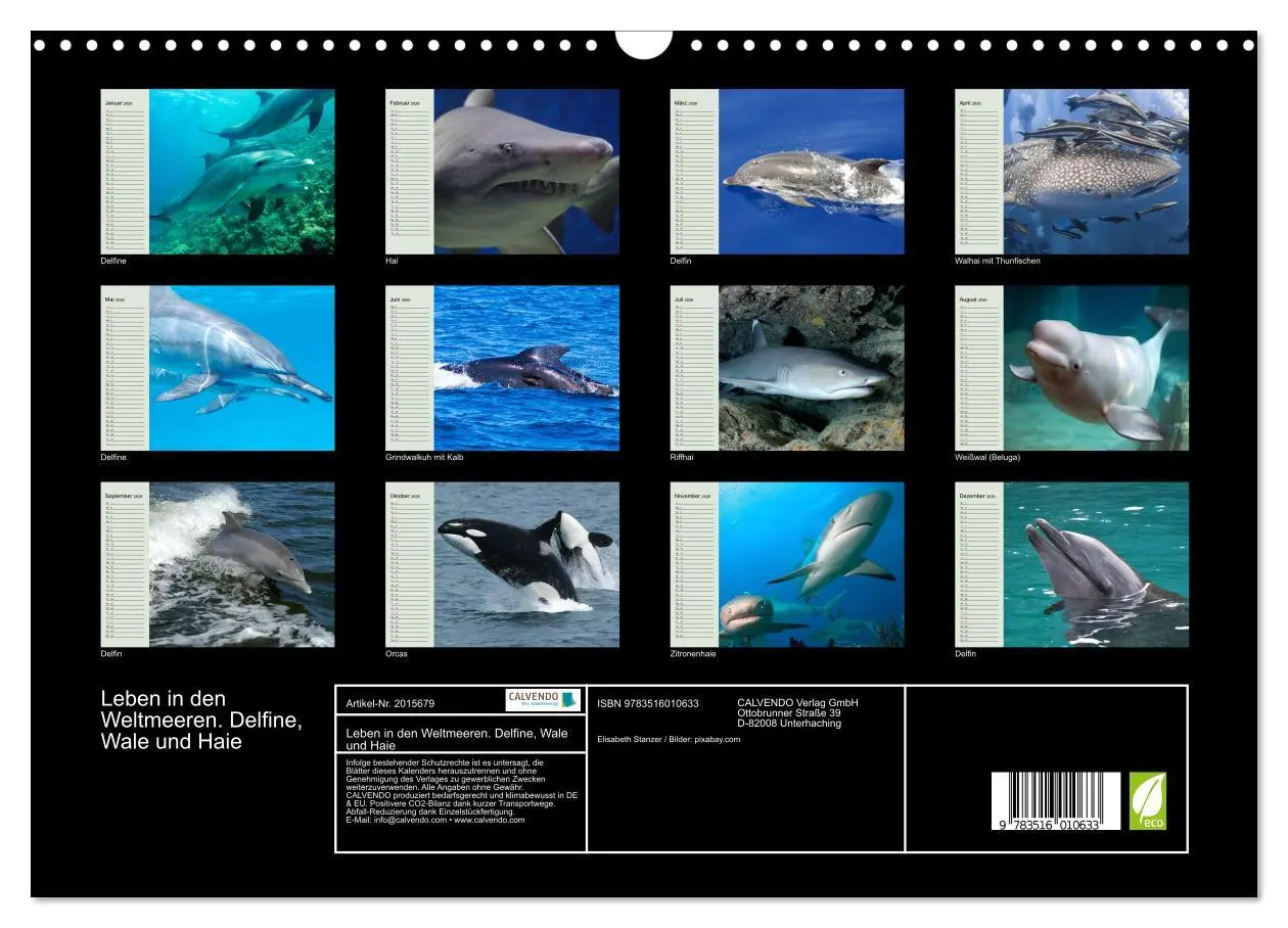 Bild: 9783516010633 | Leben in den Weltmeeren. Delfine, Wale und Haie (Wandkalender 2026...