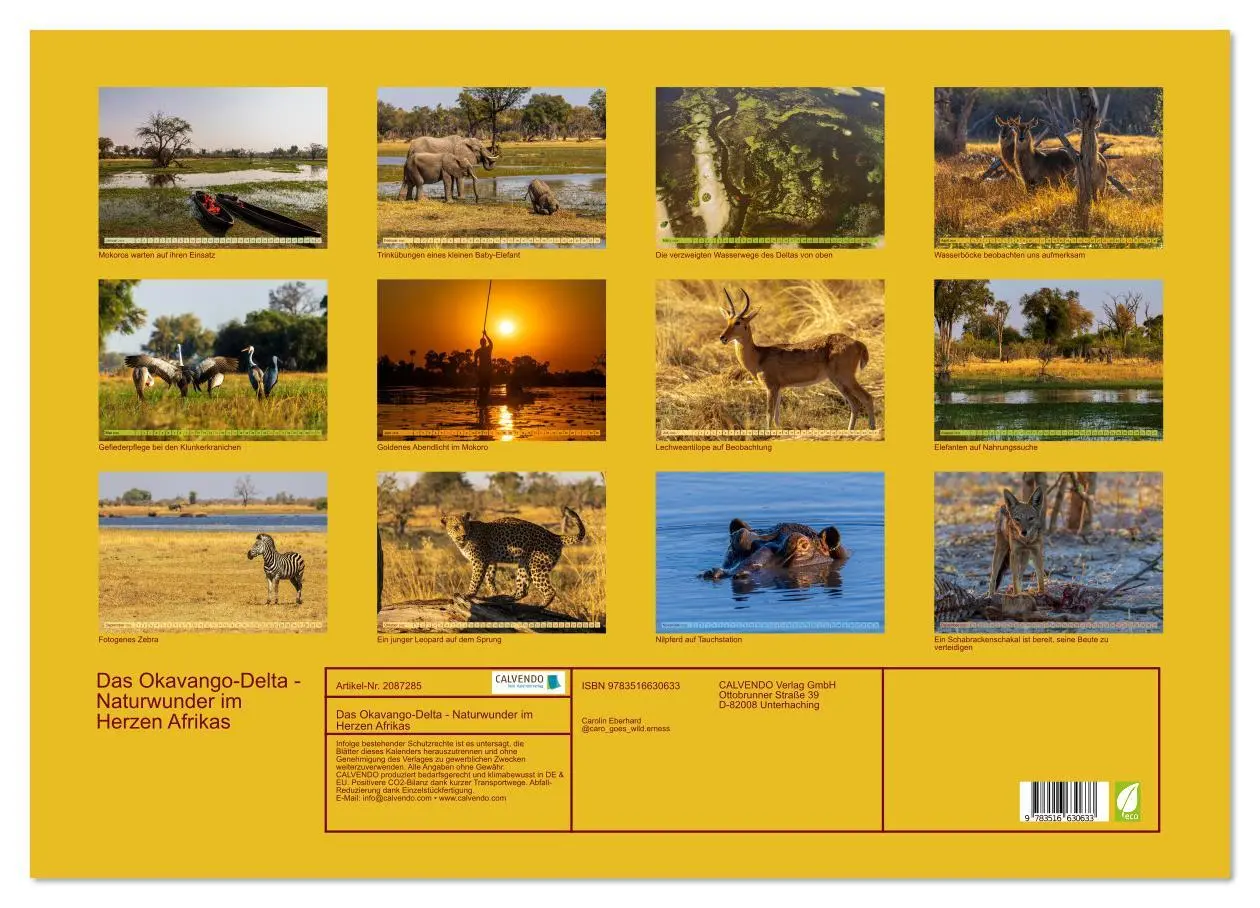 Bild: 9783516630633 | Das Okavango-Delta - Naturwunder im Herzen Afrikas (Wandkalender...