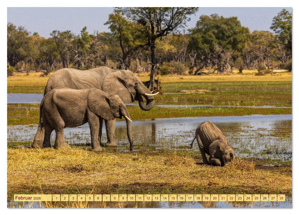 Bild: 9783516630633 | Das Okavango-Delta - Naturwunder im Herzen Afrikas (Wandkalender...