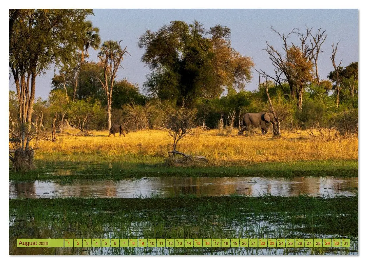 Bild: 9783516630633 | Das Okavango-Delta - Naturwunder im Herzen Afrikas (Wandkalender...