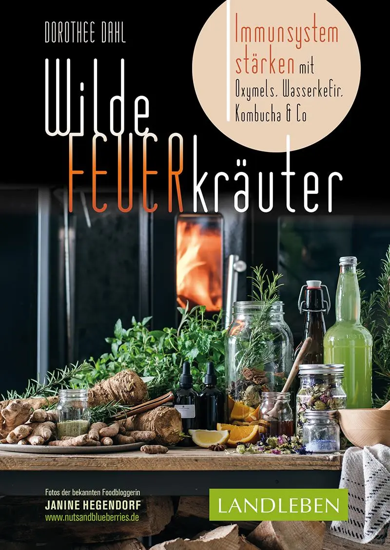 Cover: 9783840430633 | Wilde Feuerkräuter | Dorothee Dahl | Taschenbuch | 128 S. | Deutsch