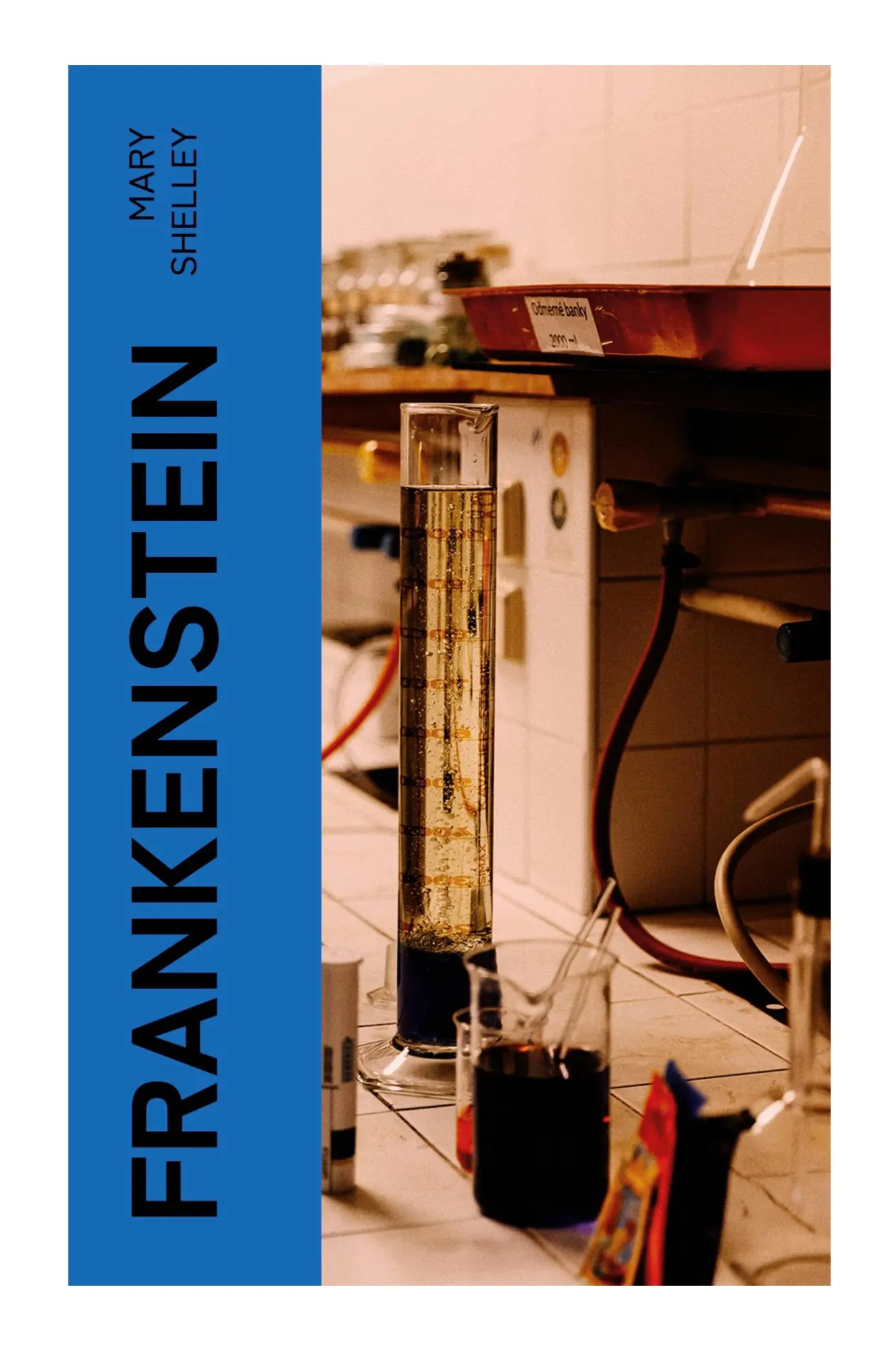 Cover: 9788027380633 | Frankenstein | Deutsche Ausgabe | Mary Shelley | Taschenbuch | 120 S.