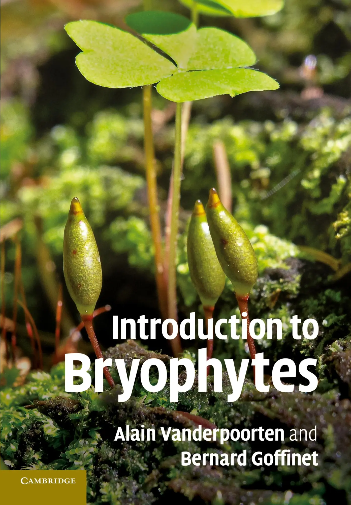 Cover: 9780521700733 | Introduction to Bryophytes | Alain Vanderpoorten (u. a.) | Taschenbuch
