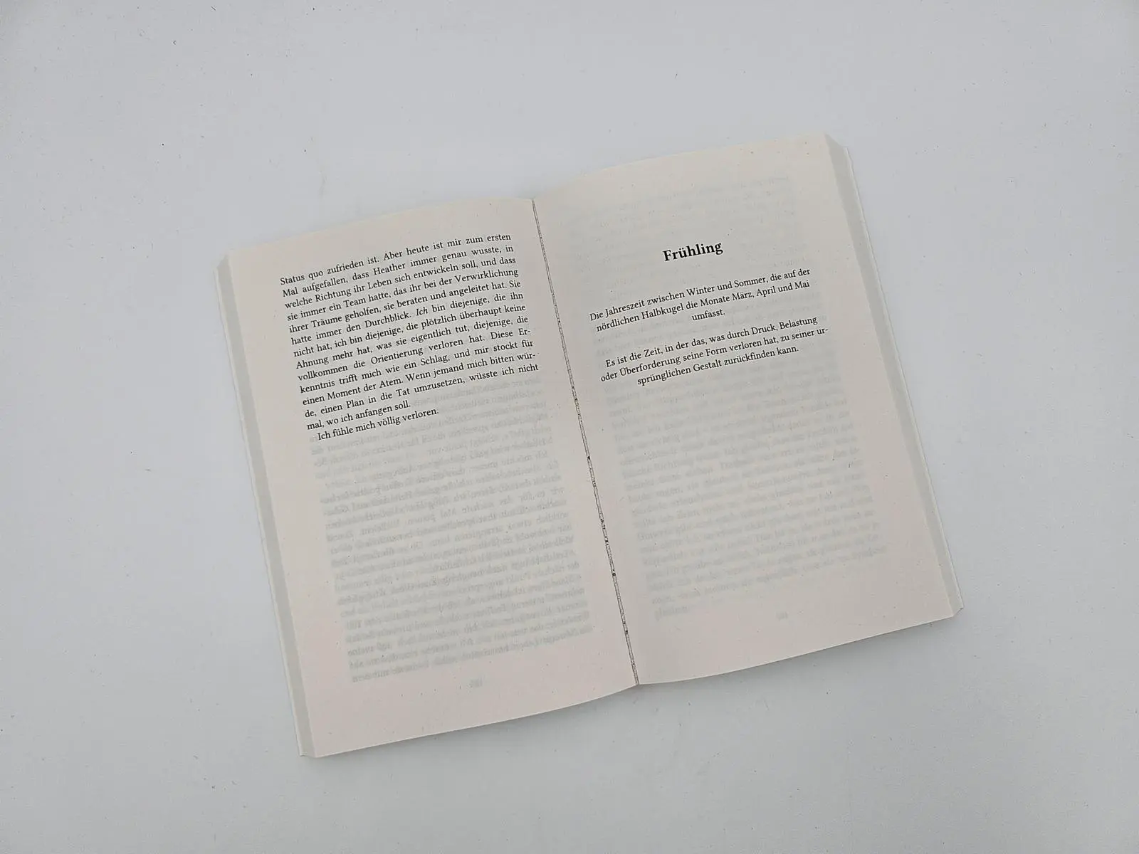 Bild: 9783492320733 | Das Jahr, in dem ich dich traf | Cecelia Ahern | Taschenbuch | 416 S.