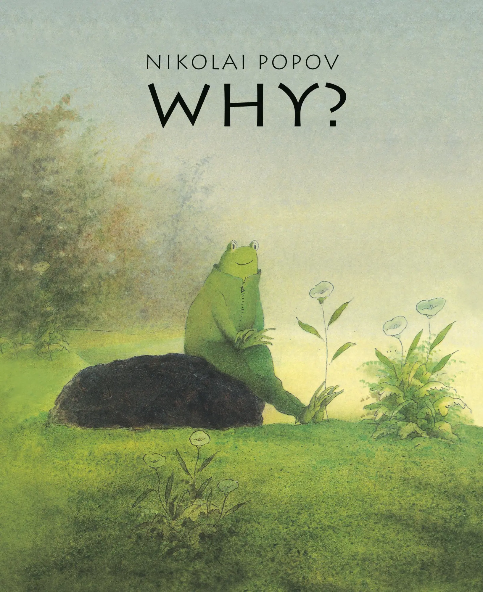 Cover: 9781662650833 | Why? | A Timeless Story Told Without Words | Nikolai Popov | Buch