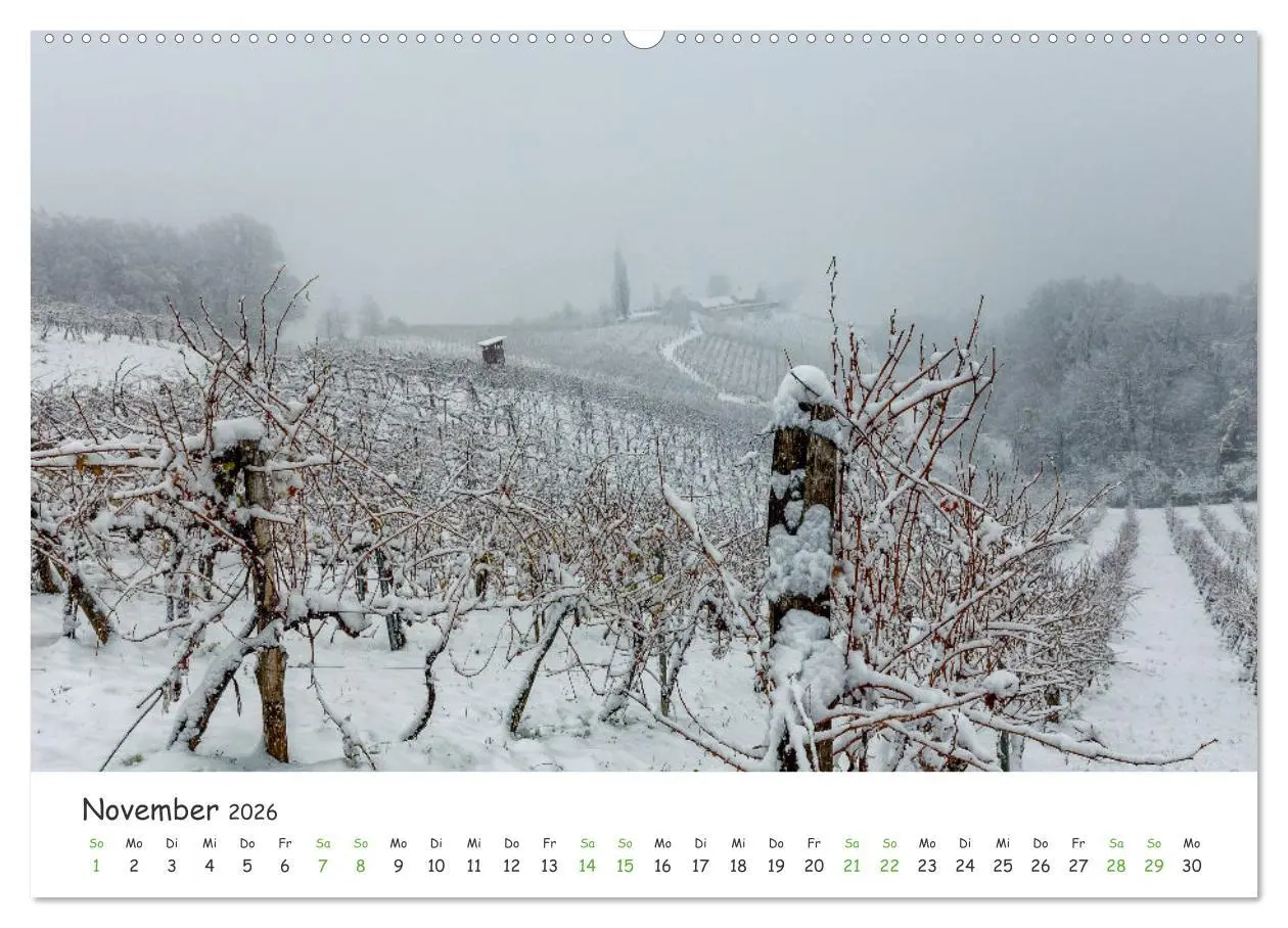 Bild: 9783457450833 | Südsteiermark365 (hochwertiger Premium Wandkalender 2026 DIN A2...