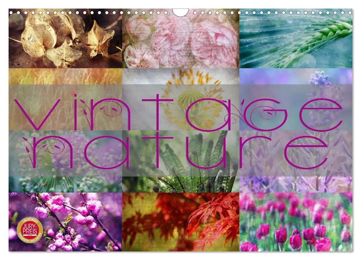 Cover: 9783516160833 | Vintage Nature - Romantische Naturaufnahmen (Wandkalender 2026 DIN...