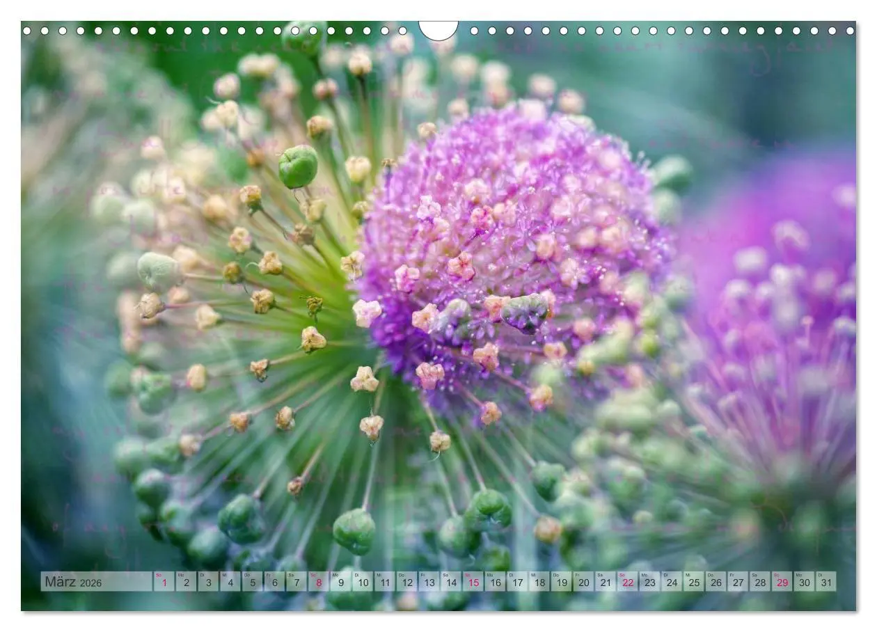 Bild: 9783516160833 | Vintage Nature - Romantische Naturaufnahmen (Wandkalender 2026 DIN...