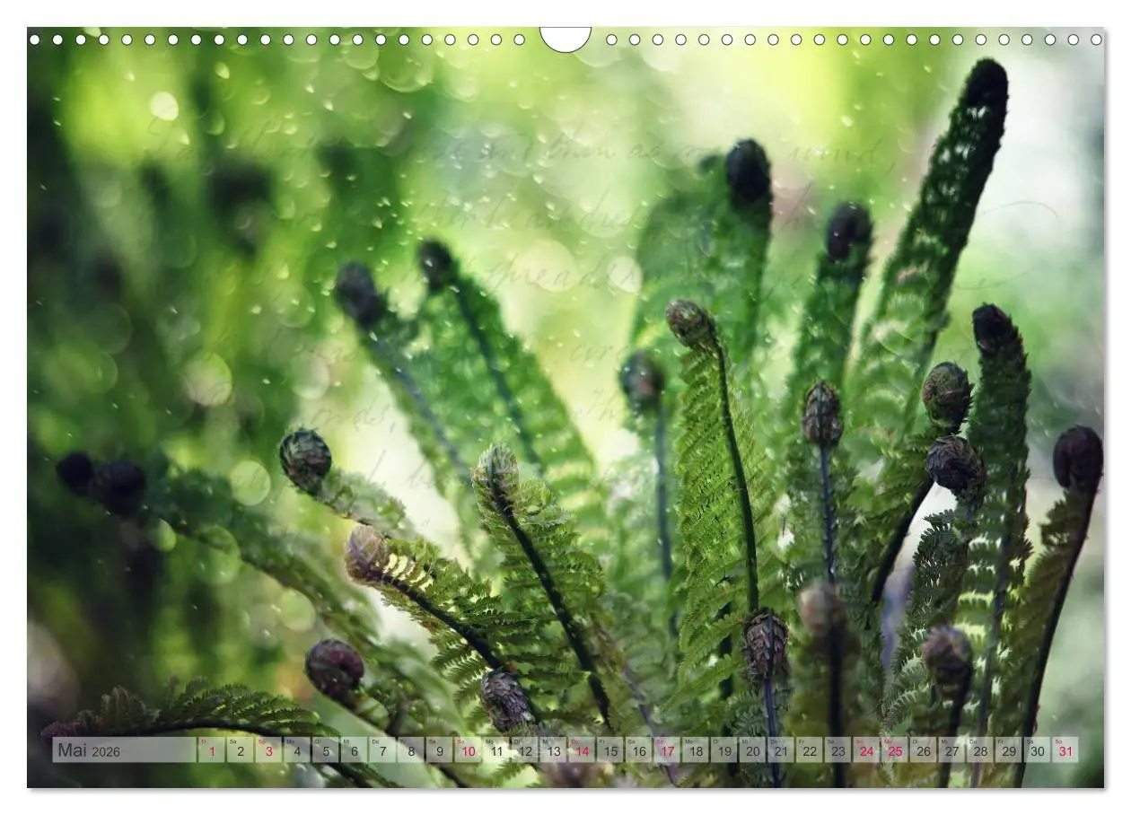 Bild: 9783516160833 | Vintage Nature - Romantische Naturaufnahmen (Wandkalender 2026 DIN...