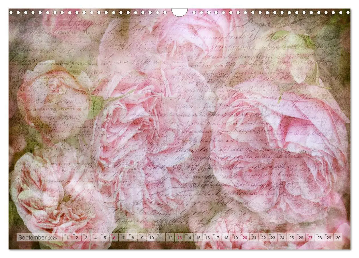 Bild: 9783516160833 | Vintage Nature - Romantische Naturaufnahmen (Wandkalender 2026 DIN...