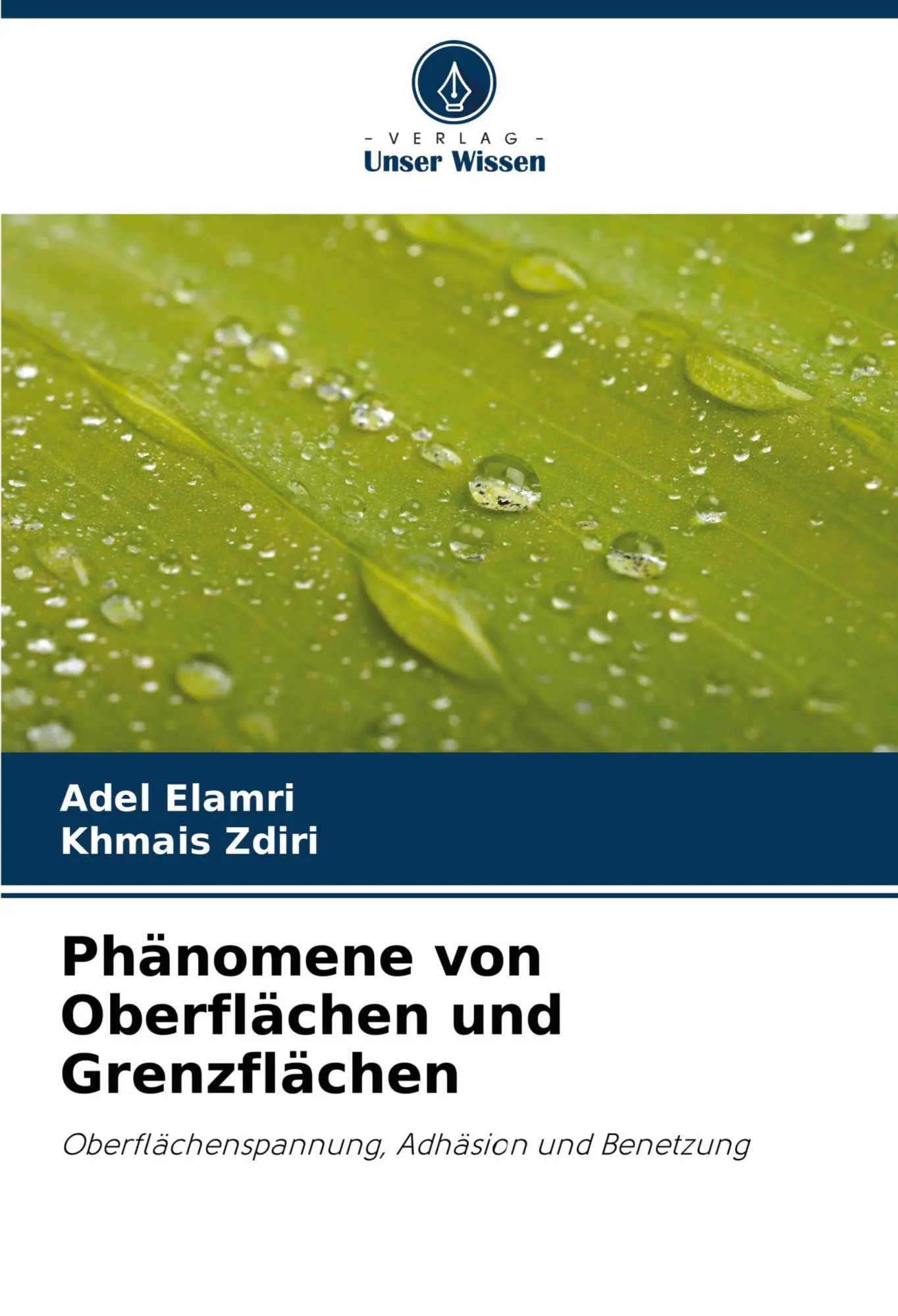 Cover: 9786207430833 | Phänomene von Oberflächen und Grenzflächen | Adel Elamri (u. a.)