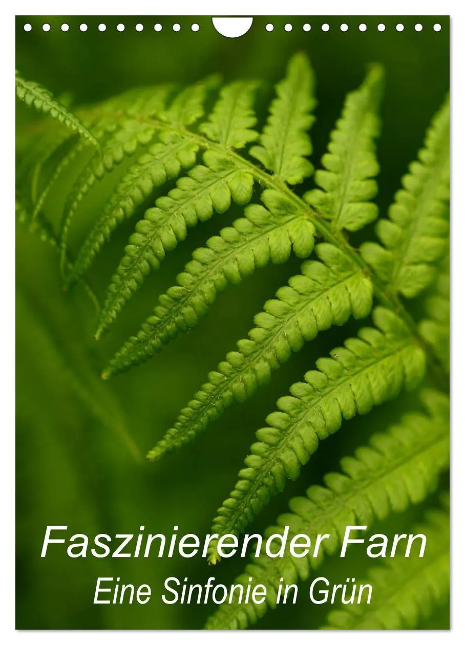 Cover: 9783516460933 | Faszinierender Farn - Eine Sinfonie in Grün (Wandkalender 2026 DIN...