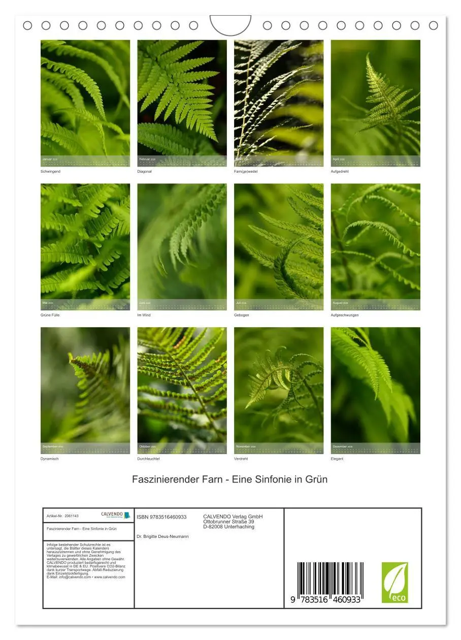 Bild: 9783516460933 | Faszinierender Farn - Eine Sinfonie in Grün (Wandkalender 2026 DIN...