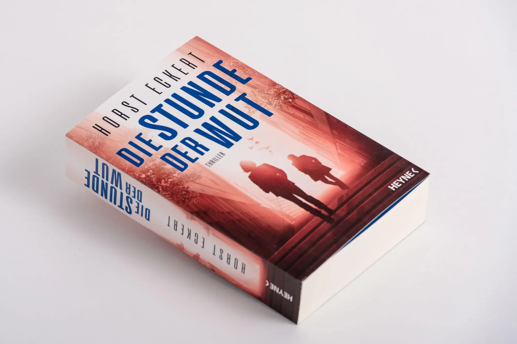 Bild: 9783453441033 | Die Stunde der Wut | Thriller | Horst Eckert | Taschenbuch | 448 S.
