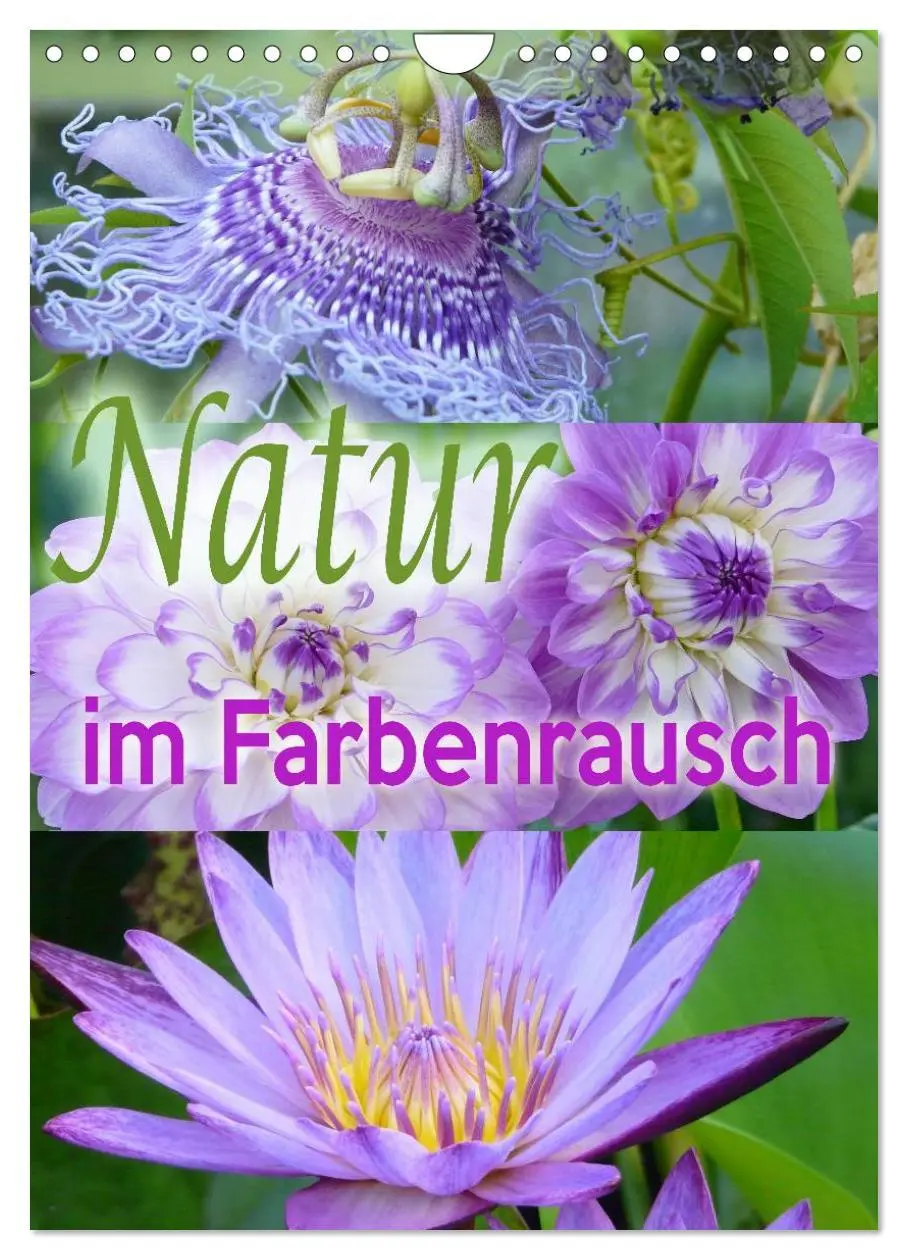 Cover: 9783457021033 | Natur im Farbenrausch (Wandkalender 2025 DIN A4 hoch), CALVENDO...