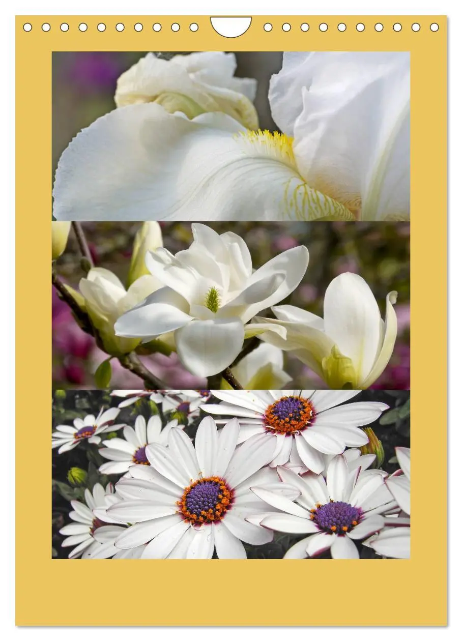 Bild: 9783457021033 | Natur im Farbenrausch (Wandkalender 2025 DIN A4 hoch), CALVENDO...