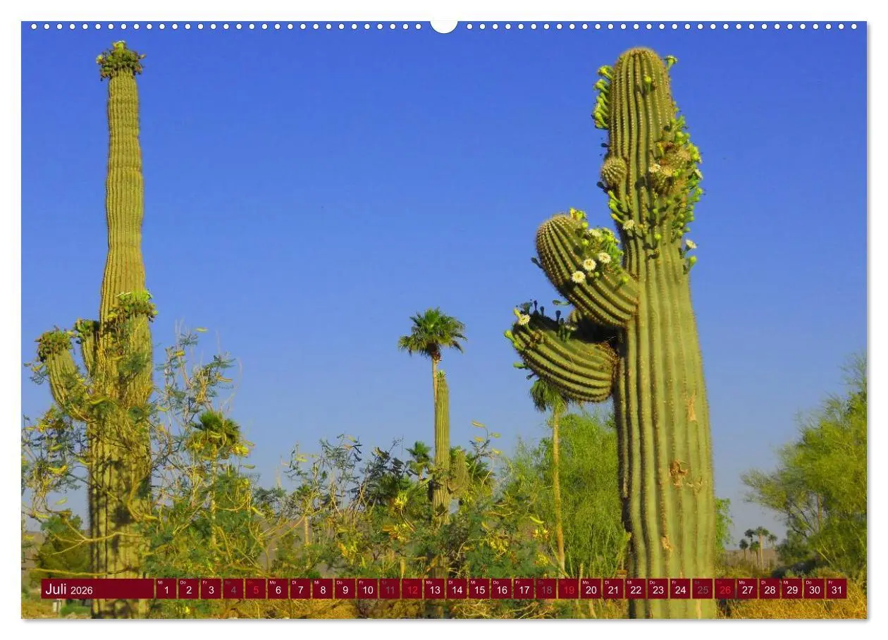 Bild: 9783516111033 | Arizona ¿ Impressionen (Wandkalender 2026 DIN A2 quer), CALVENDO...