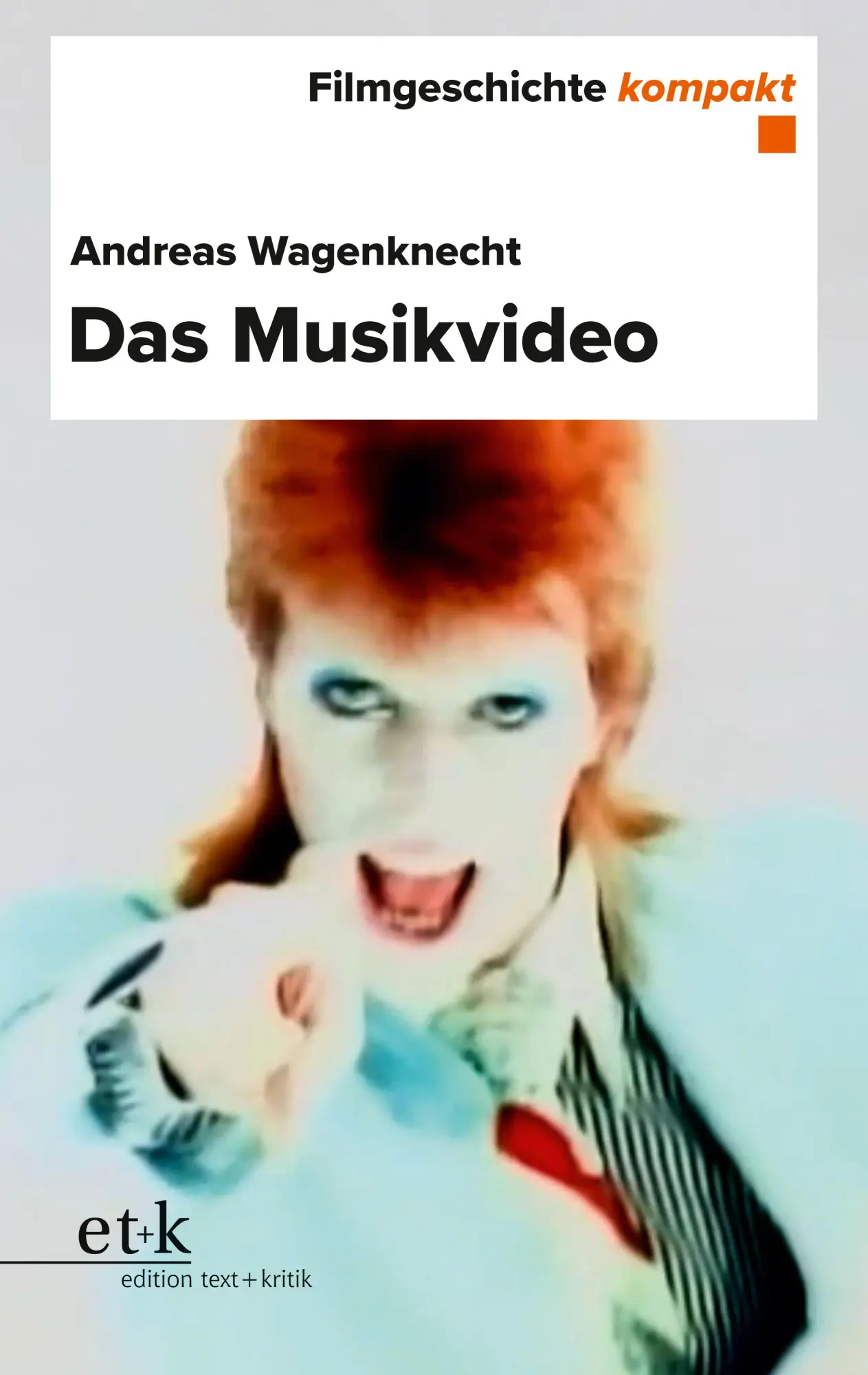 Cover: 9783689301033 | Das Musikvideo | Andreas Wagenknecht | Taschenbuch | 126 S. | Deutsch