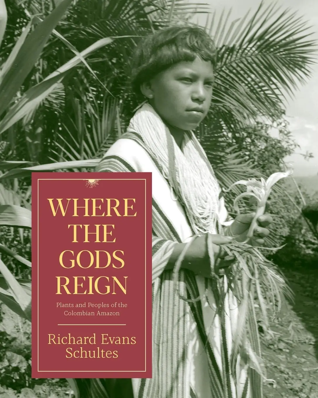 Cover: 9780907791133 | Where the Gods Reign | Plants and Peoples of the Colombian Amazon
