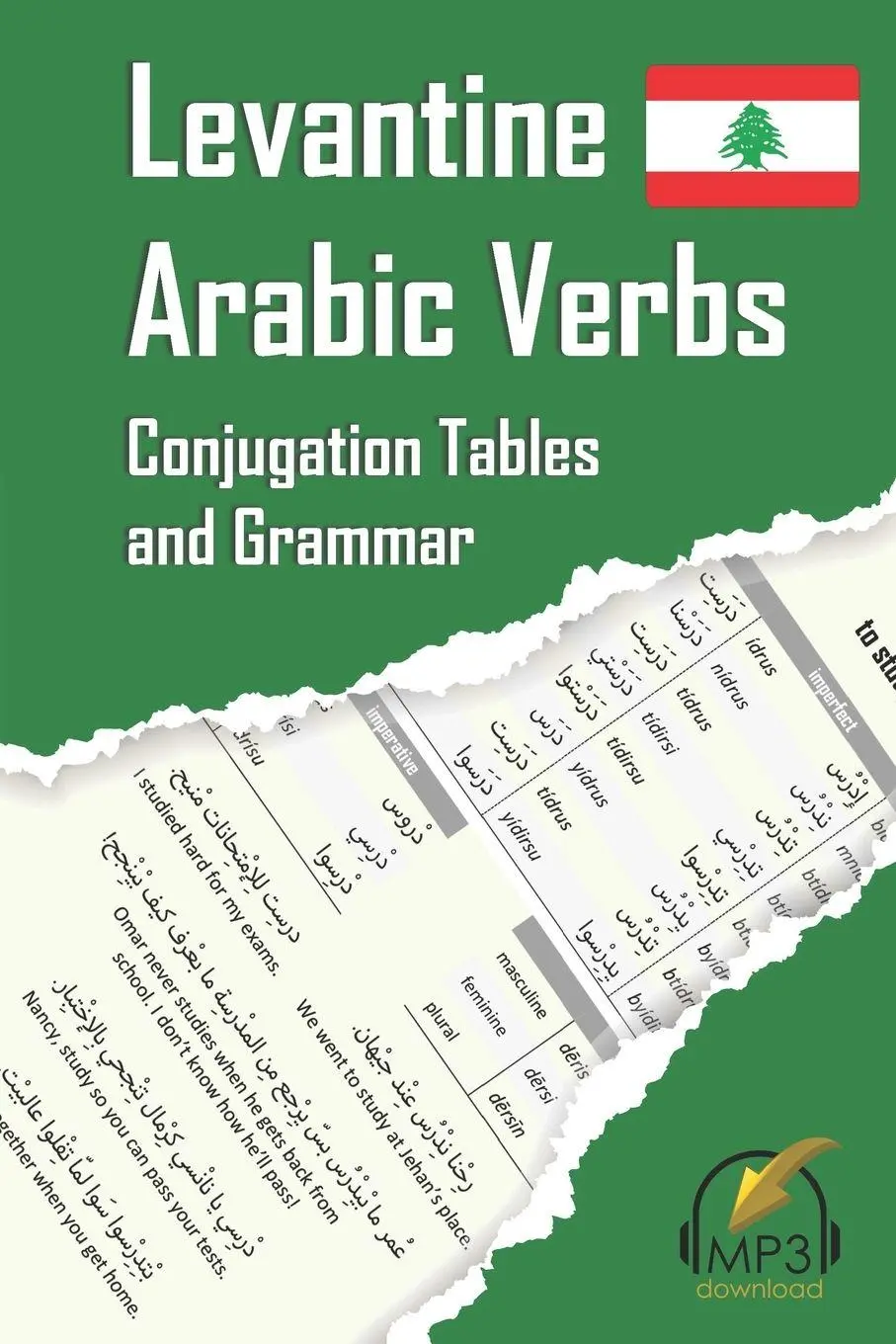 Cover: 9780998641133 | Levantine Arabic Verbs | Conjugation Tables and Grammar | Aldrich