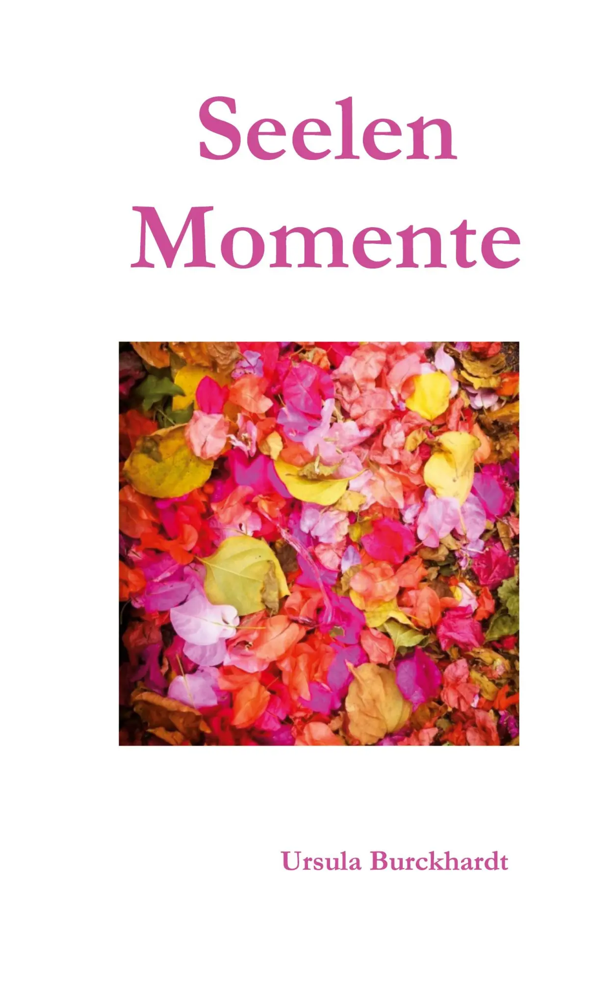 Cover: 9783819211133 | Seelenmomente II | Ursula Burckhardt | Taschenbuch | Seelenmomente