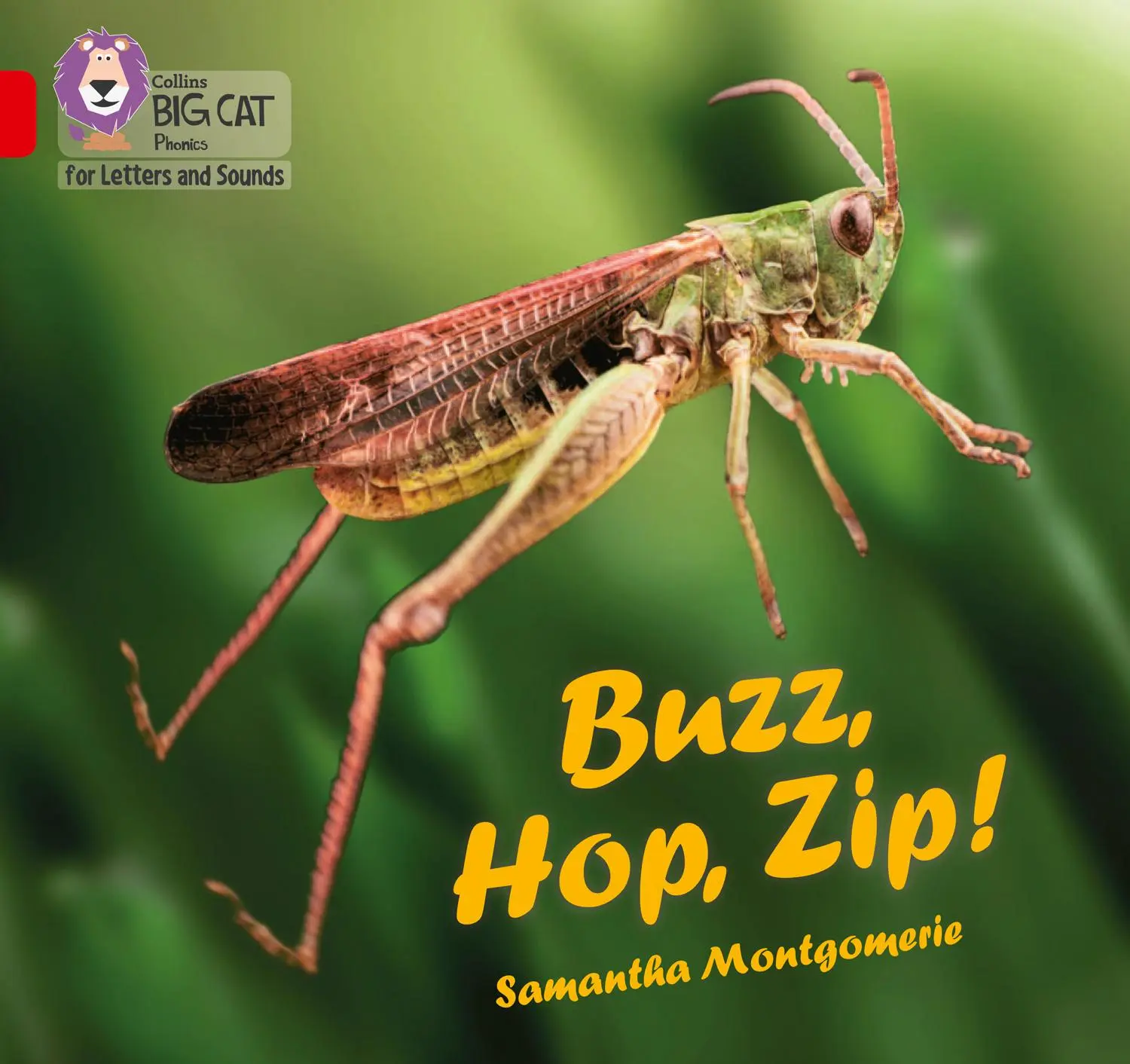 Cover: 9780008381233 | Buzz, Hop, Zip! | Band 02a/Red a | Samantha Montgomerie | Taschenbuch
