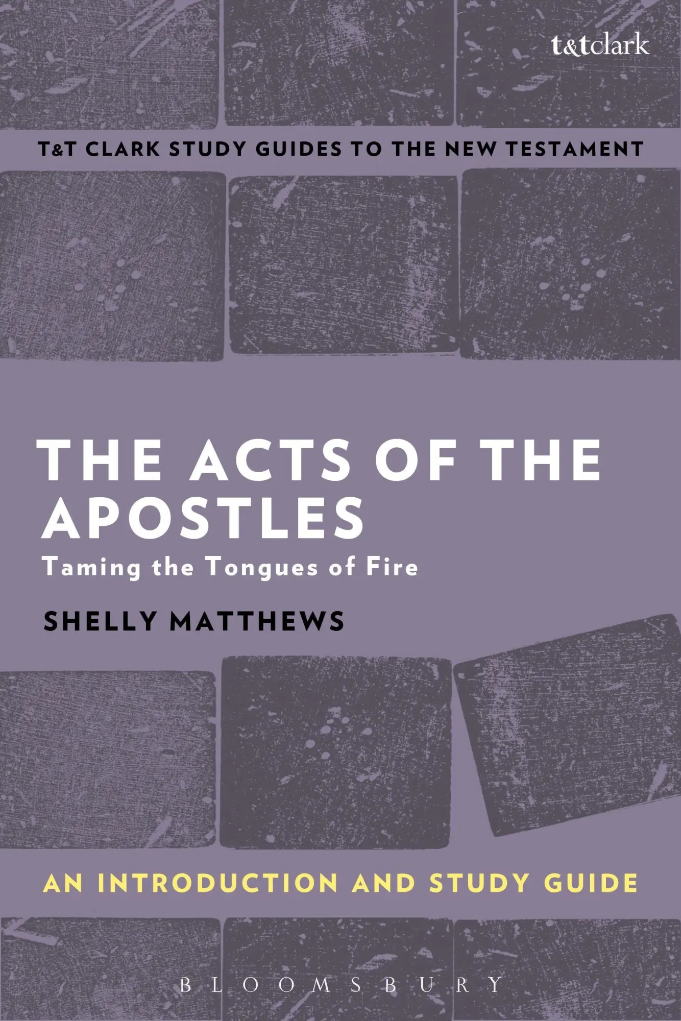 Cover: 9780567671233 | The Acts of The Apostles | An Introduction and Study Guide | Matthews