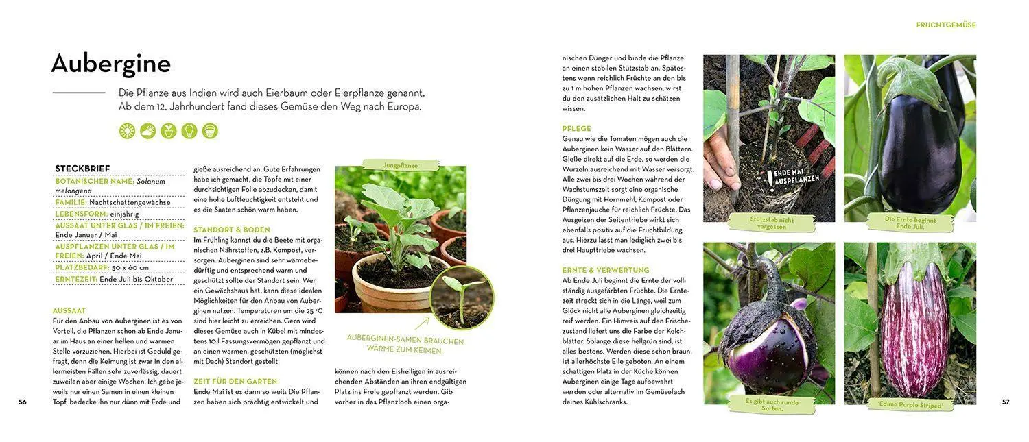 Bild: 9783440171233 | Was mache ich wann im Gemüsegarten? | Otmar Diez | Taschenbuch | 2022