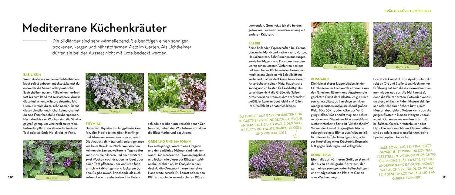 Bild: 9783440171233 | Was mache ich wann im Gemüsegarten? | Otmar Diez | Taschenbuch | 2022