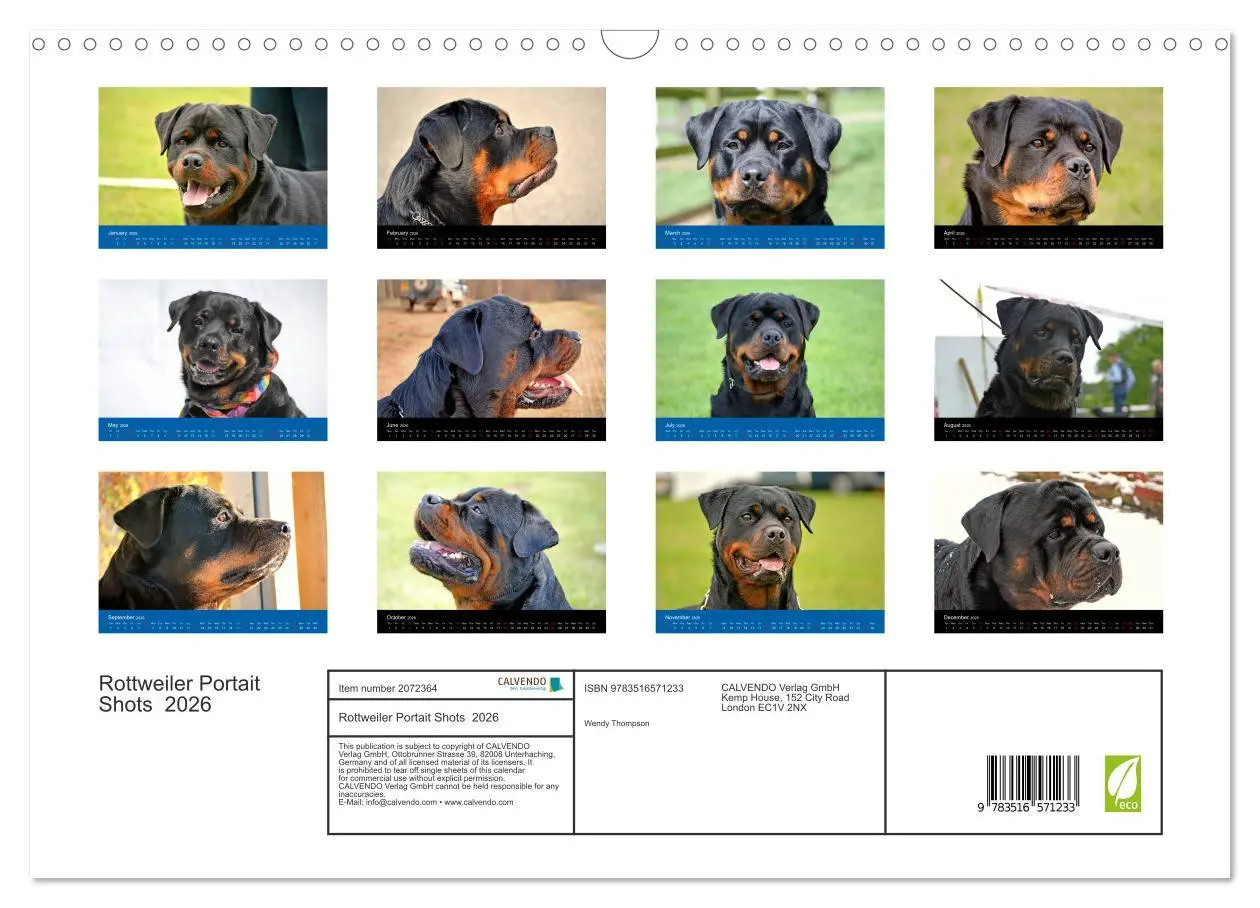 Bild: 9783516571233 | Rottweiler Portait Shots 2026 (Wall Calendar 2026 DIN A3...