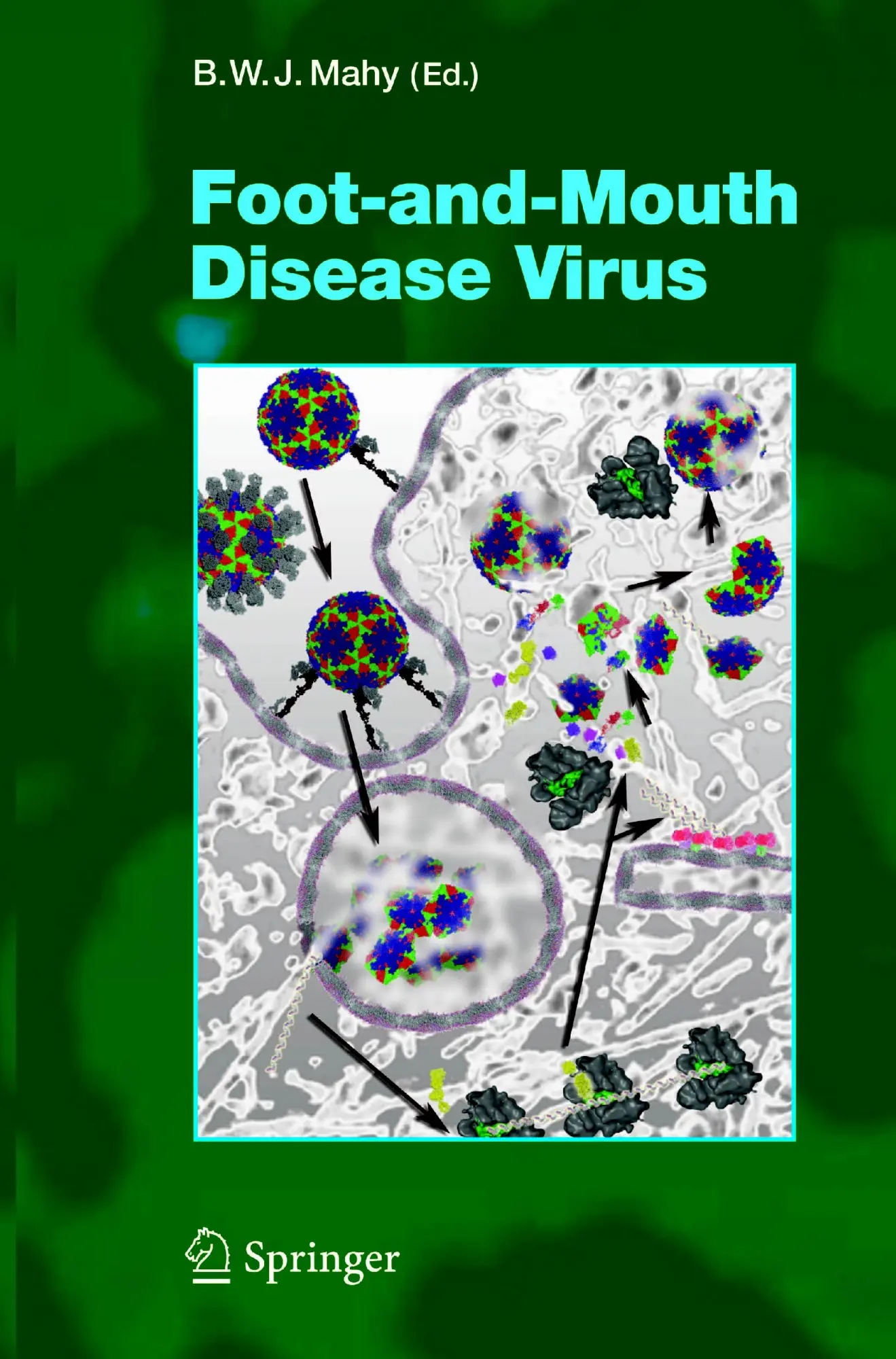 Cover: 9783642061233 | Foot-and-Mouth Disease Virus | B. W. J. Mahy | Taschenbuch | x | 2010