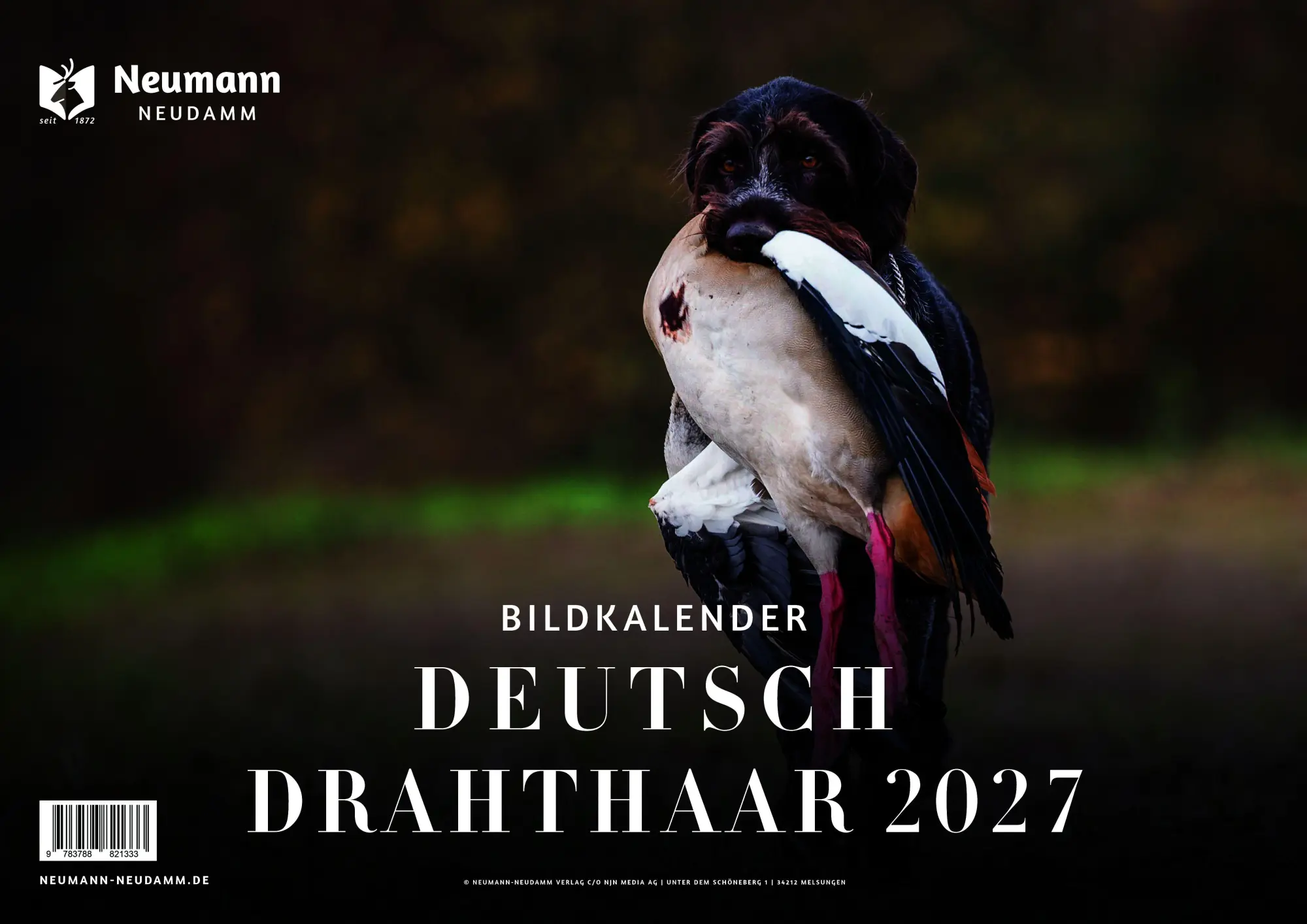 Cover: 9783788821333 | Deutsch Drahthaar 2027 - Themenkalender | NJN Media AG | Kalender