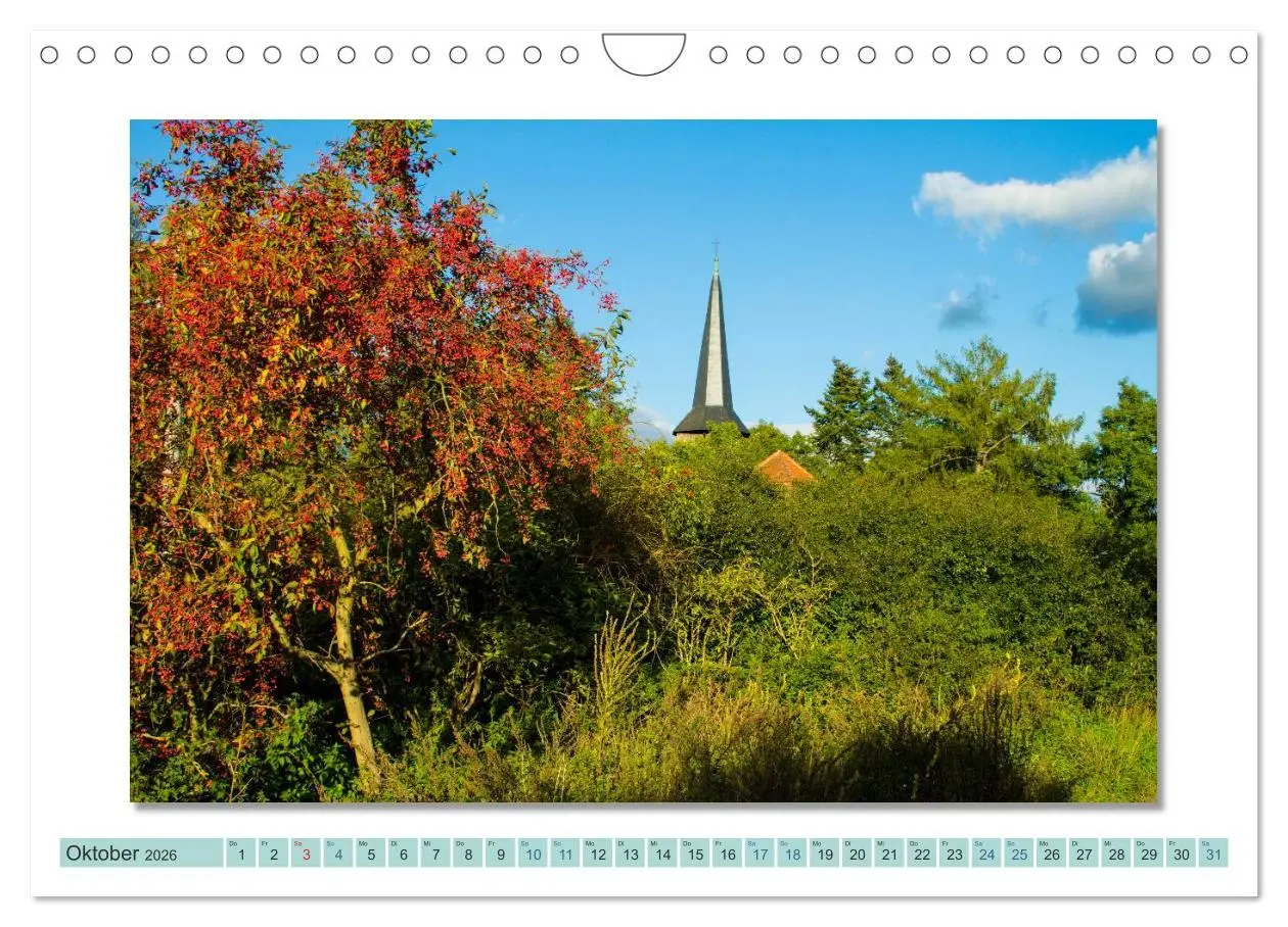 Bild: 9783516001433 | Augenblicke im Müritz Nationalpark (Wandkalender 2026 DIN A4 quer),...