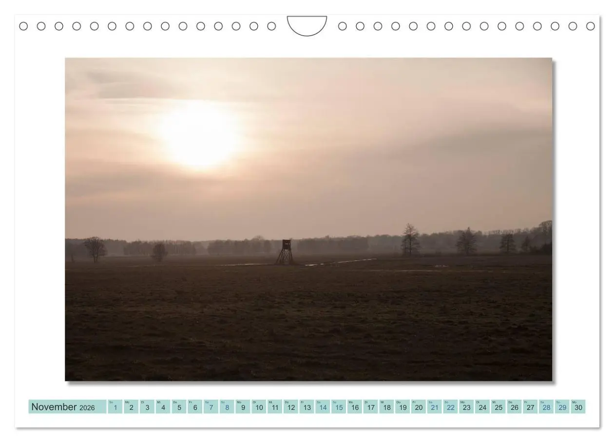 Bild: 9783516001433 | Augenblicke im Müritz Nationalpark (Wandkalender 2026 DIN A4 quer),...