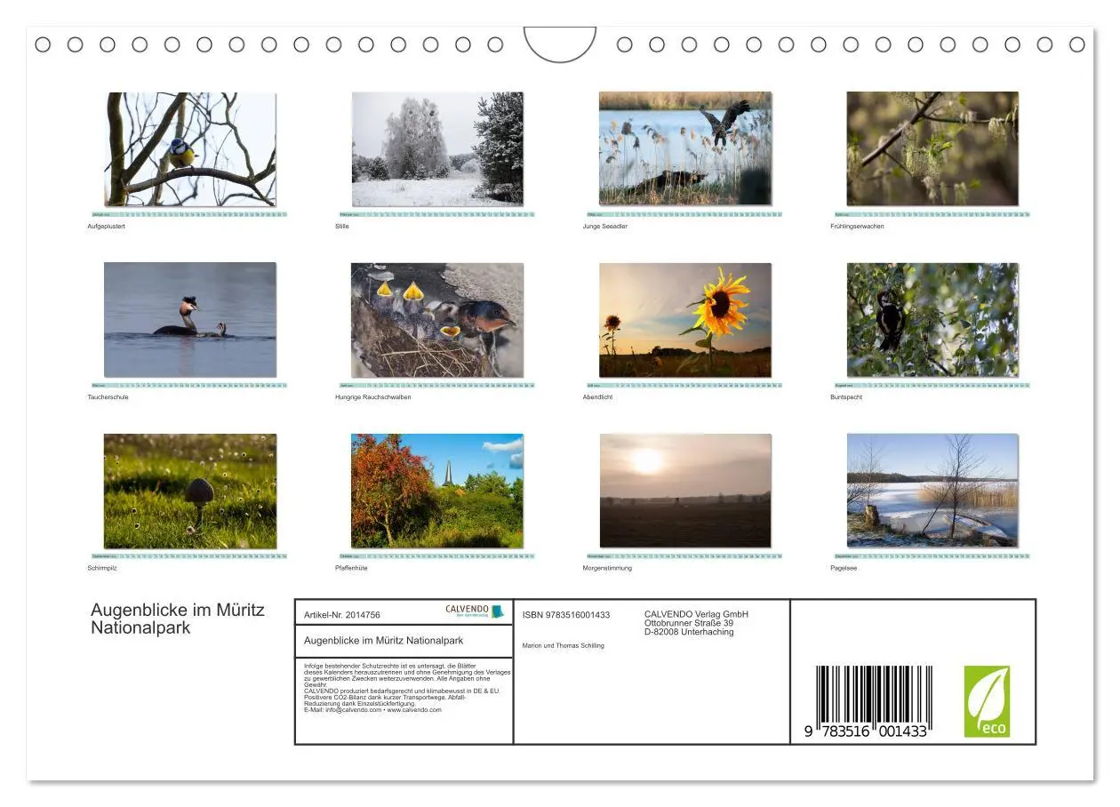 Bild: 9783516001433 | Augenblicke im Müritz Nationalpark (Wandkalender 2026 DIN A4 quer),...