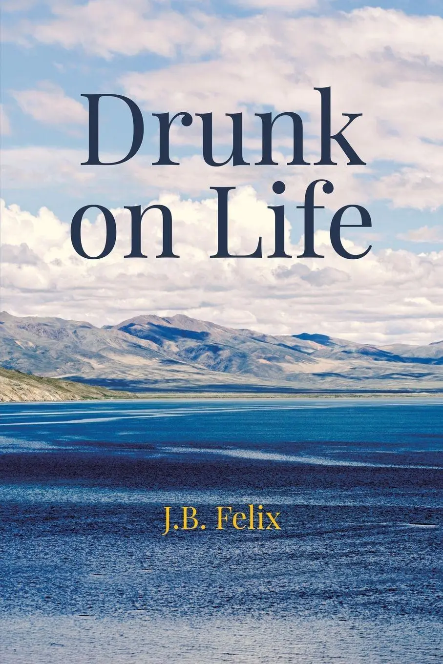 Cover: 9781035811533 | Drunk on Life | J. B. Felix | Taschenbuch | Englisch | 2026