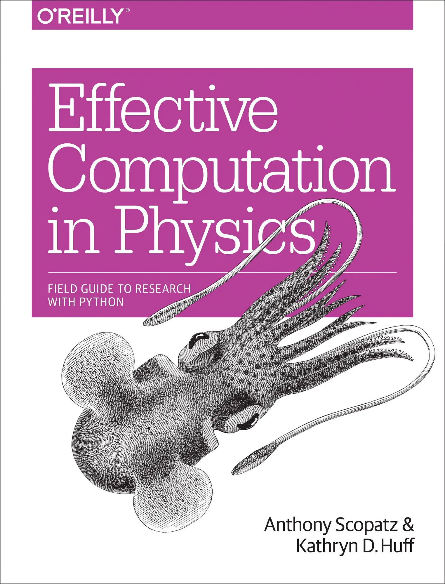Cover: 9781491901533 | Effective Computation in Physics | Field Guide to Research with Python