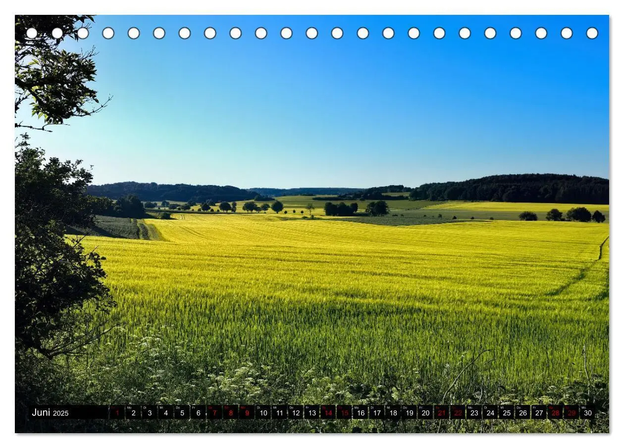 Bild: 9783383891533 | Neue Impressionen von der Schwäbischen Alb (Tischkalender 2025 DIN...