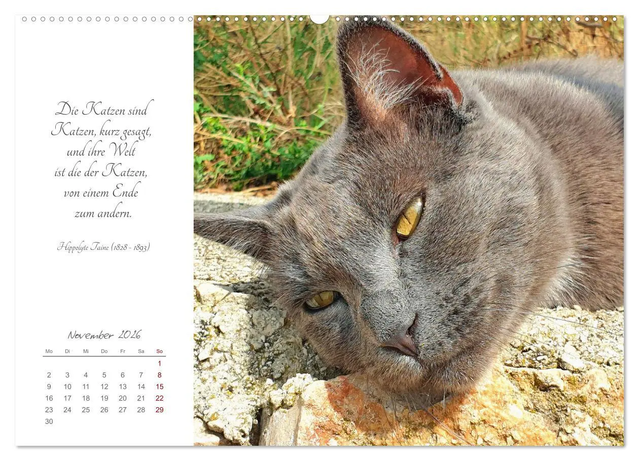 Bild: 9783457441633 | Catlovers - Ein Jahr voller Samtpfoten und charmanten Weisheiten...