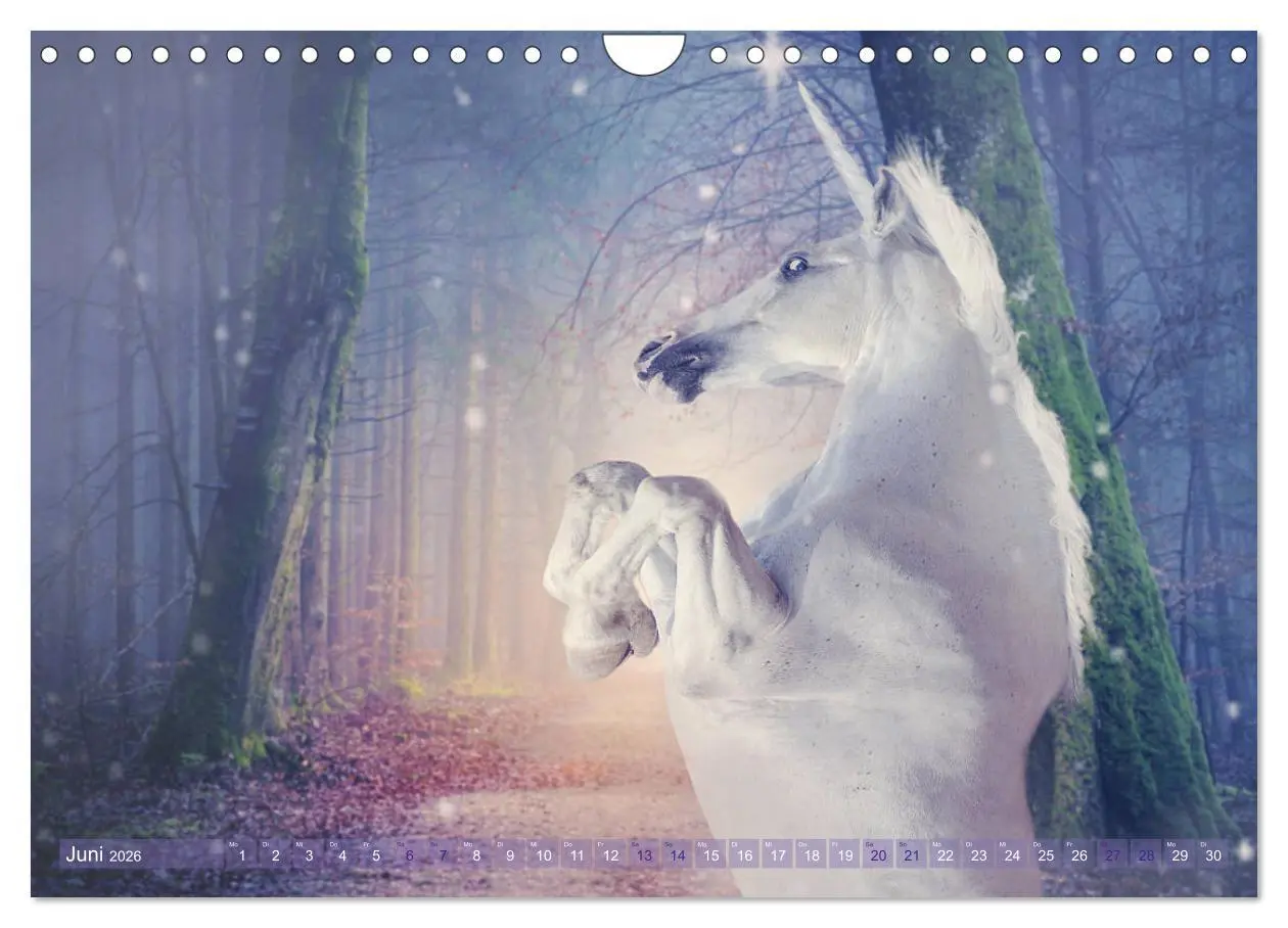 Bild: 9783457821633 | Einhorn Love - Fantasiewelt (Wandkalender 2026 DIN A4 quer),...