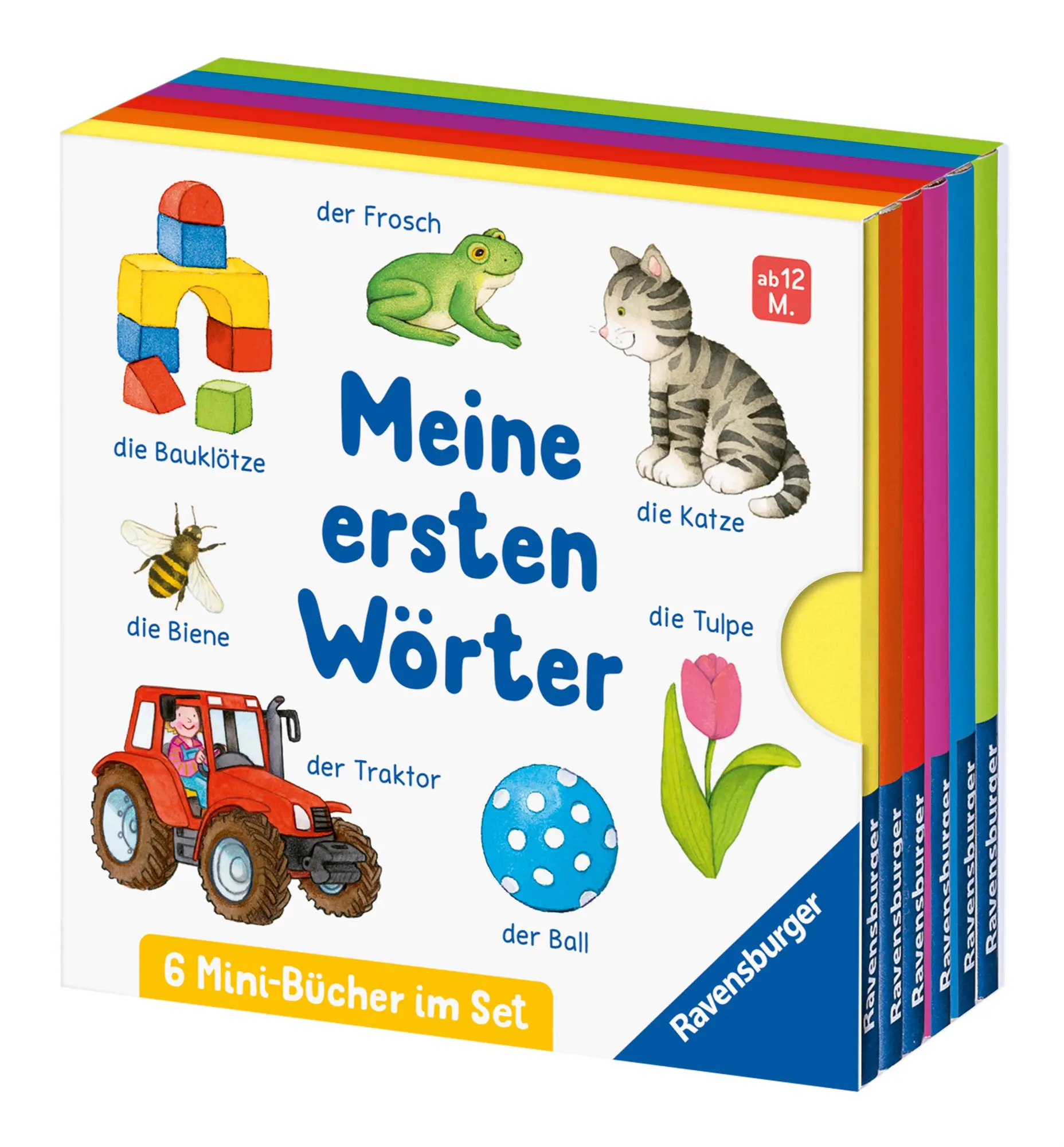 Cover: 9783473421633 | Meine ersten Wörter: 6 Mini-Bücher im Set | 6 Mini-Bücher im Set