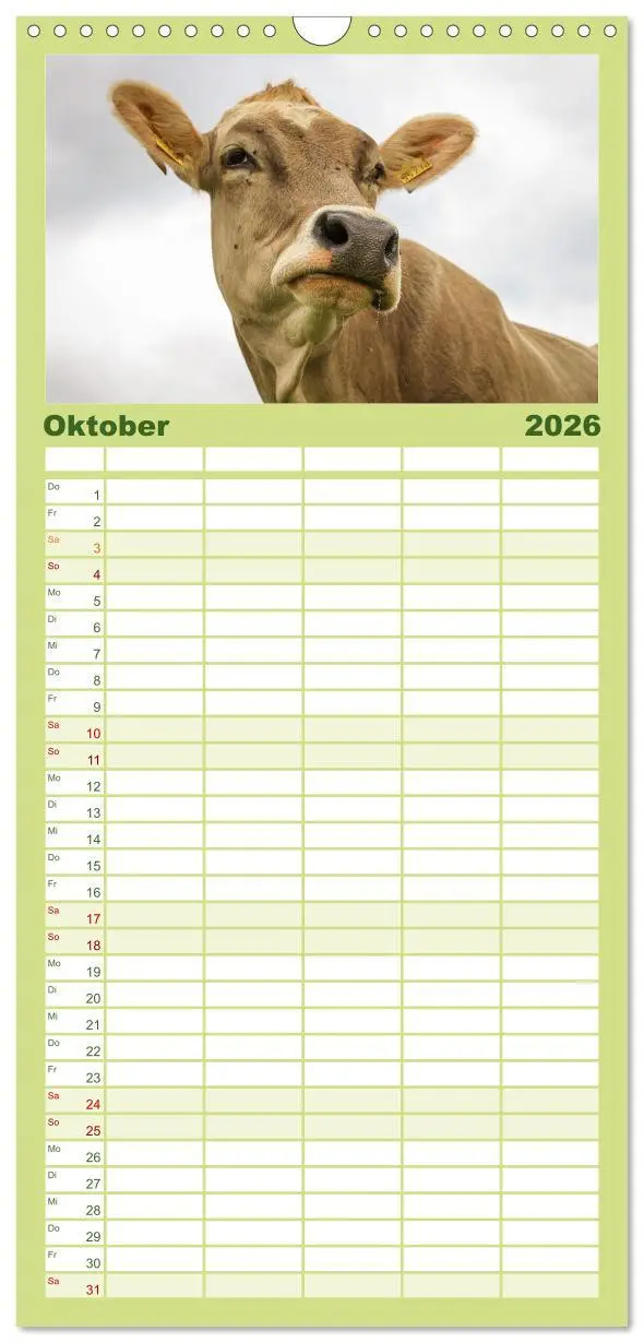 Bild: 9783516601633 | Familienplaner 2026 - Naturparadies Allgäu - Von Oberstdorf bis...
