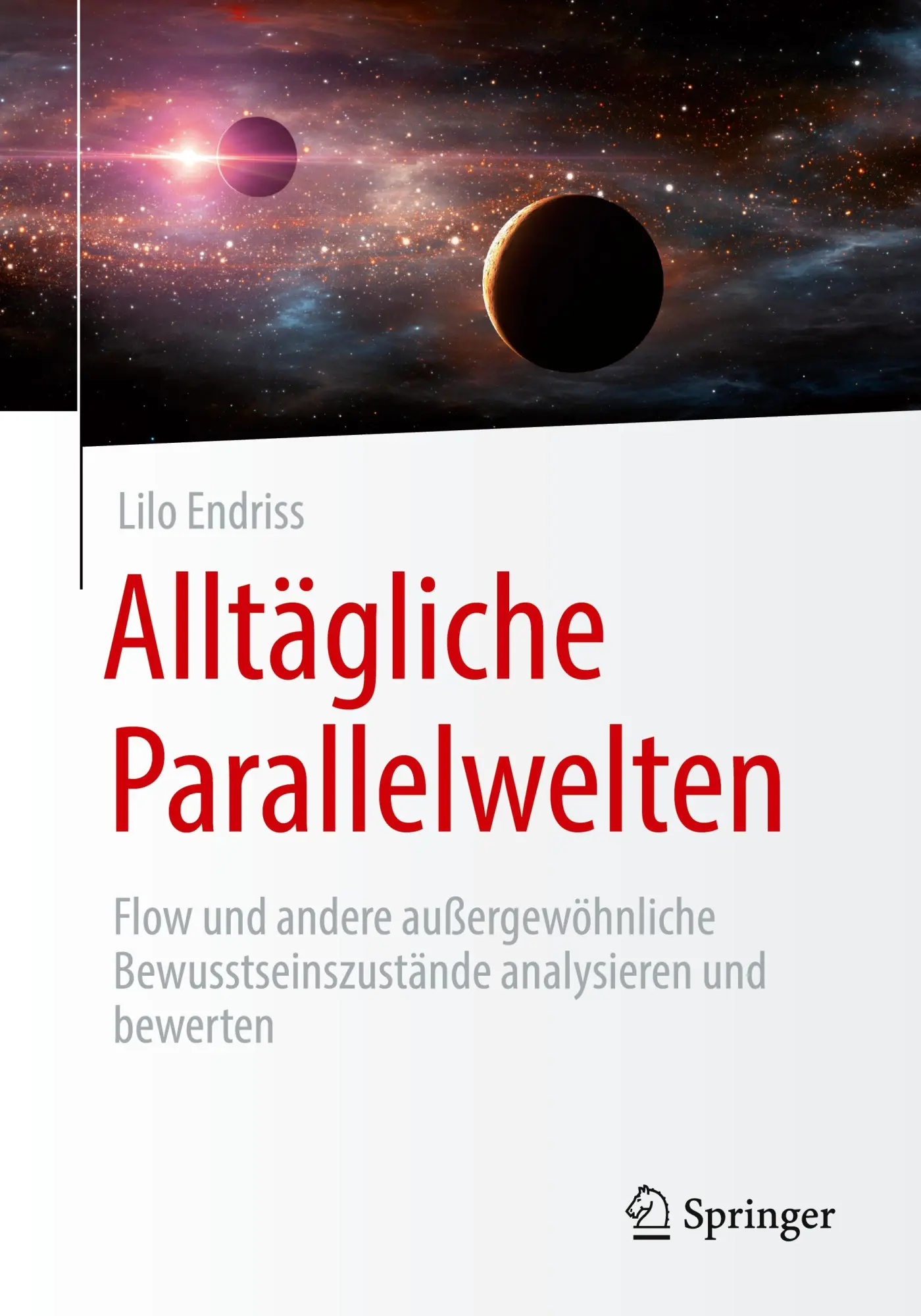 Cover: 9783658411633 | Alltägliche Parallelwelten | Lilo Endriss | Taschenbuch | Paperback