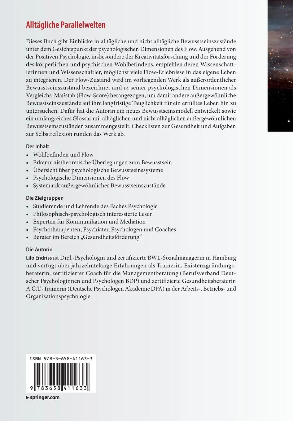 Rückseite: 9783658411633 | Alltägliche Parallelwelten | Lilo Endriss | Taschenbuch | xix | 2023